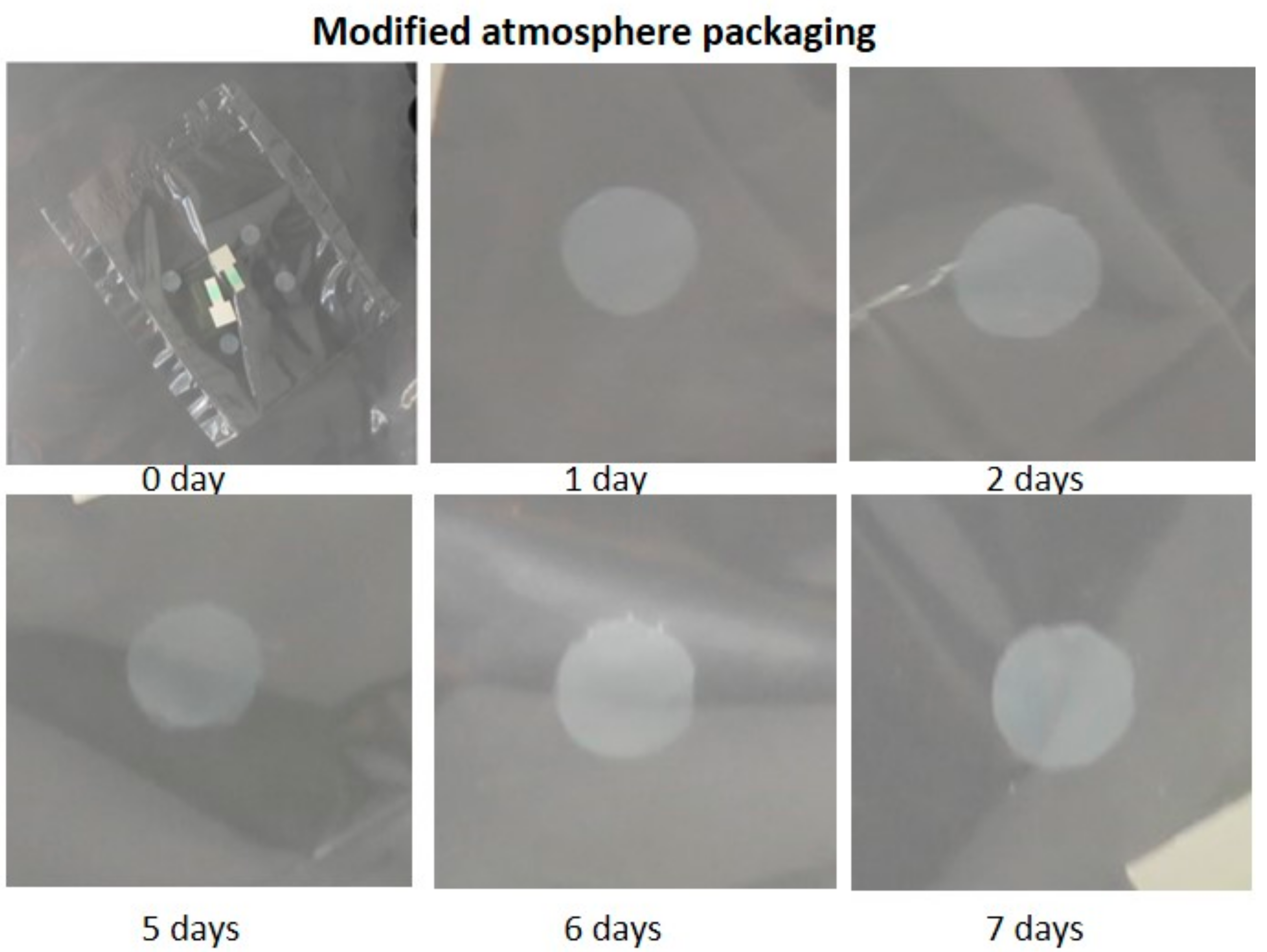 Sensors 19 04684 g003