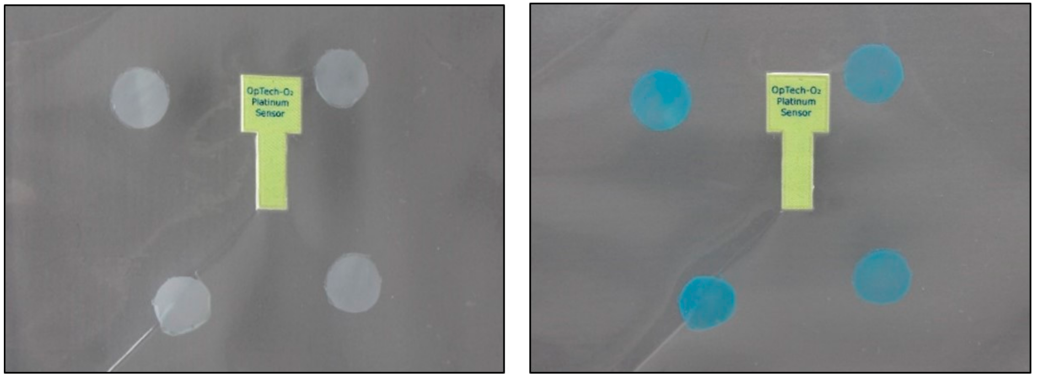 Sensors 19 04684 g004