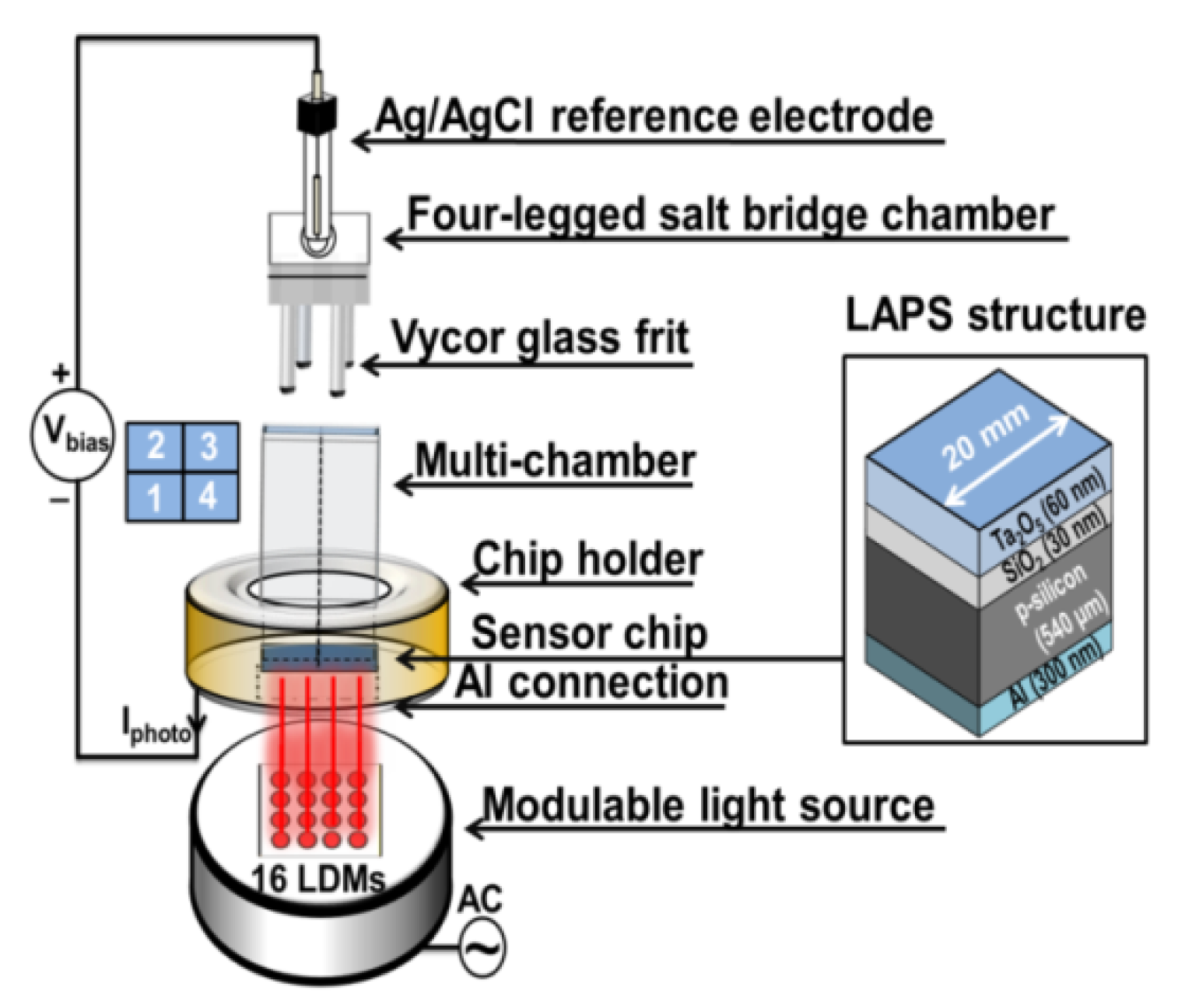 Sensors 19 04692 g001