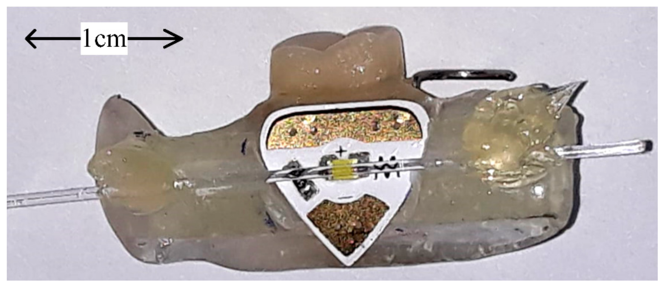 Sensors 19 04719 g004