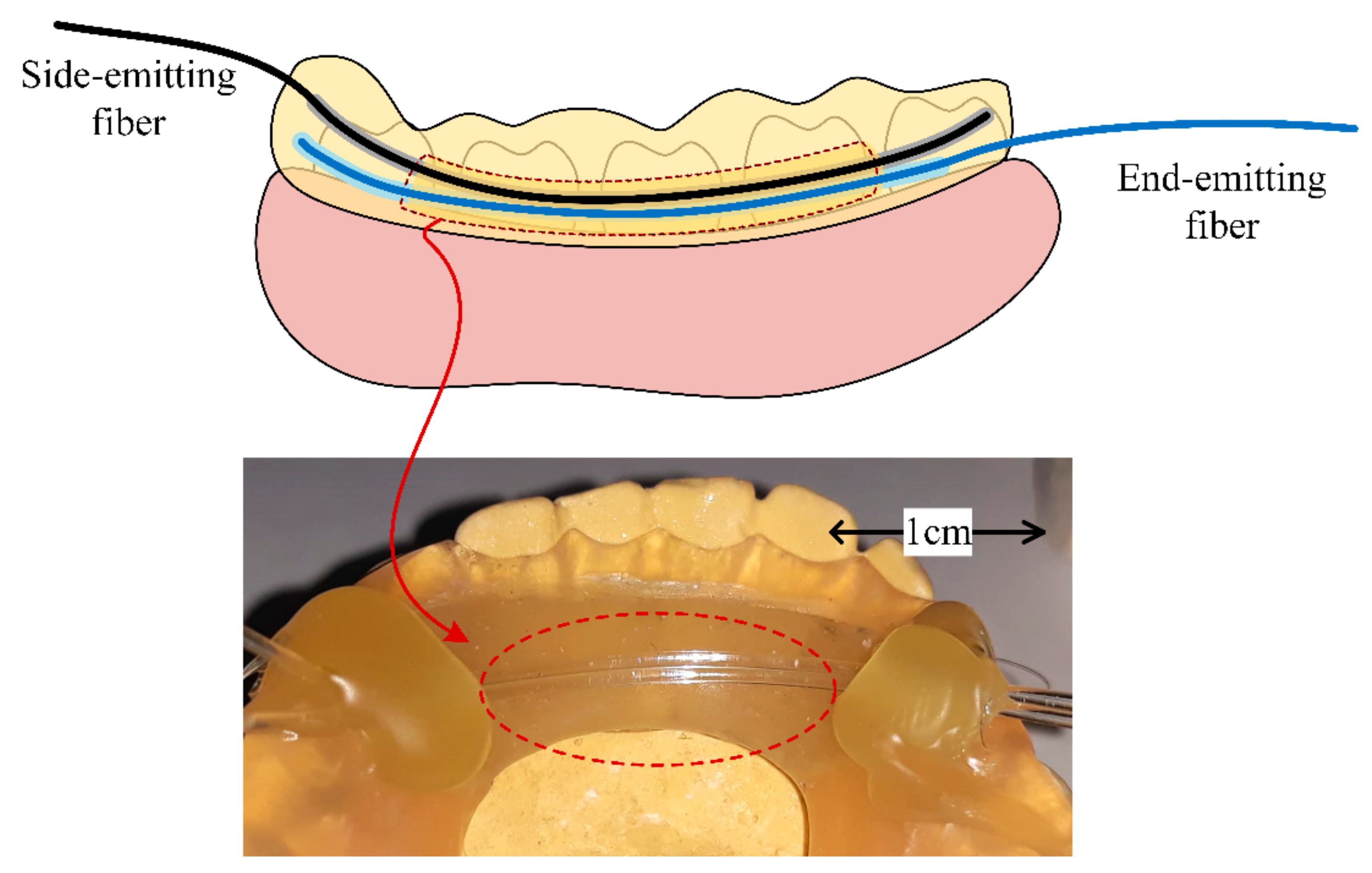 Sensors 19 04719 g005