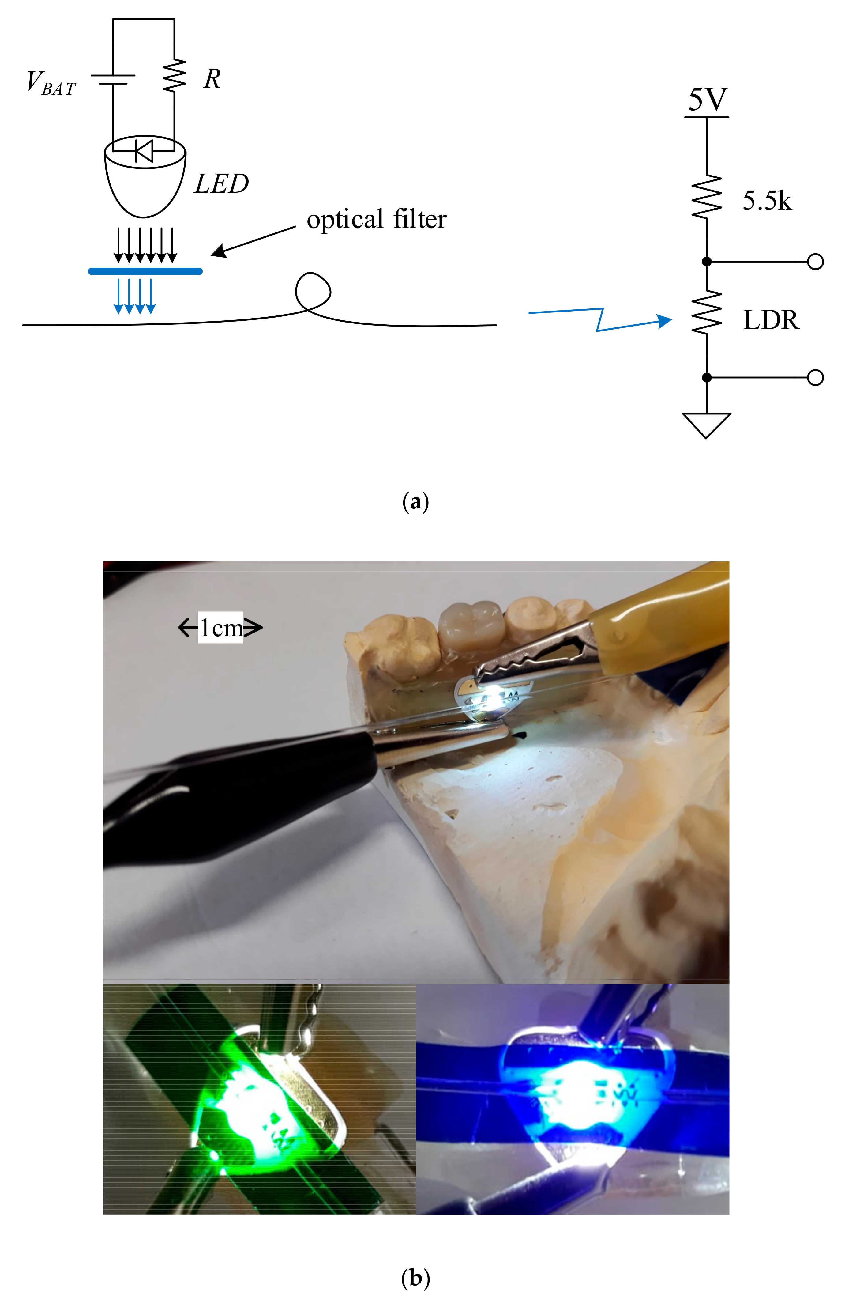 Sensors 19 04719 g008