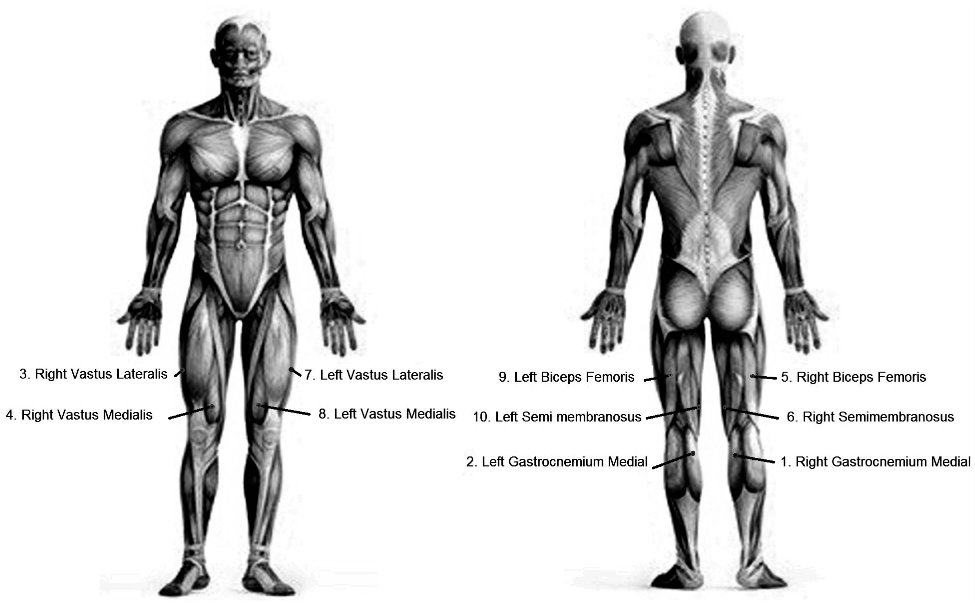 Sensors 19 04729 g002 Sensors 19 04729 g002