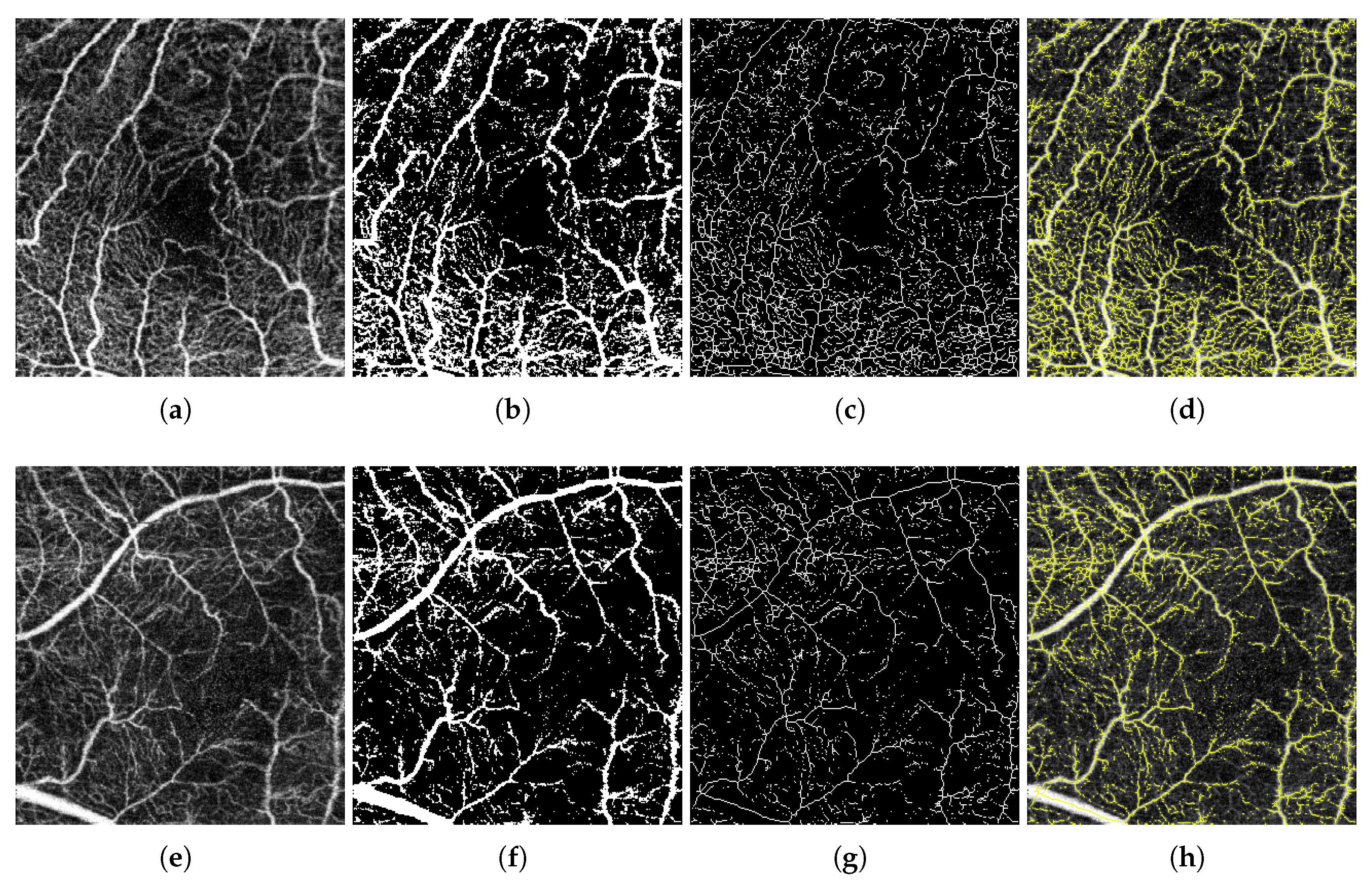 Sensors 19 04732 g005