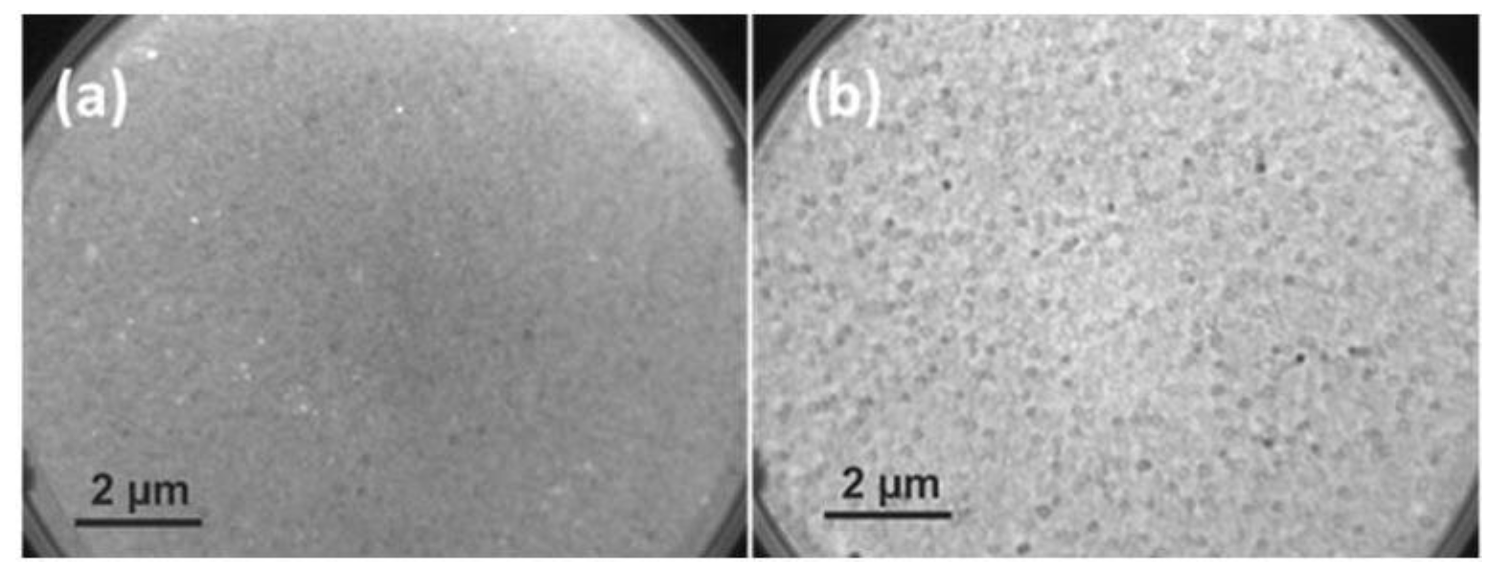 Sensors 19 04737 g001