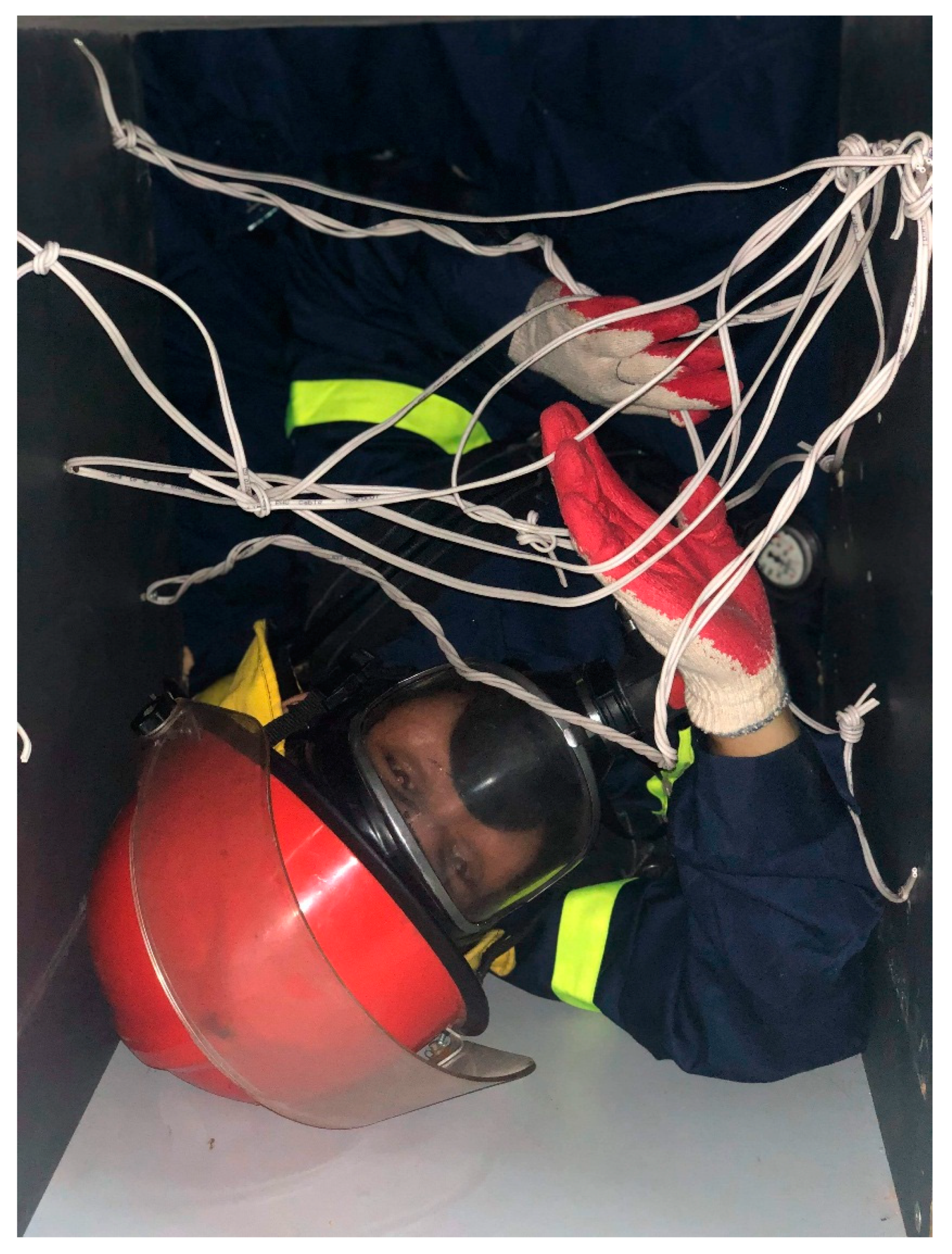 Sensors 19 04746 g007