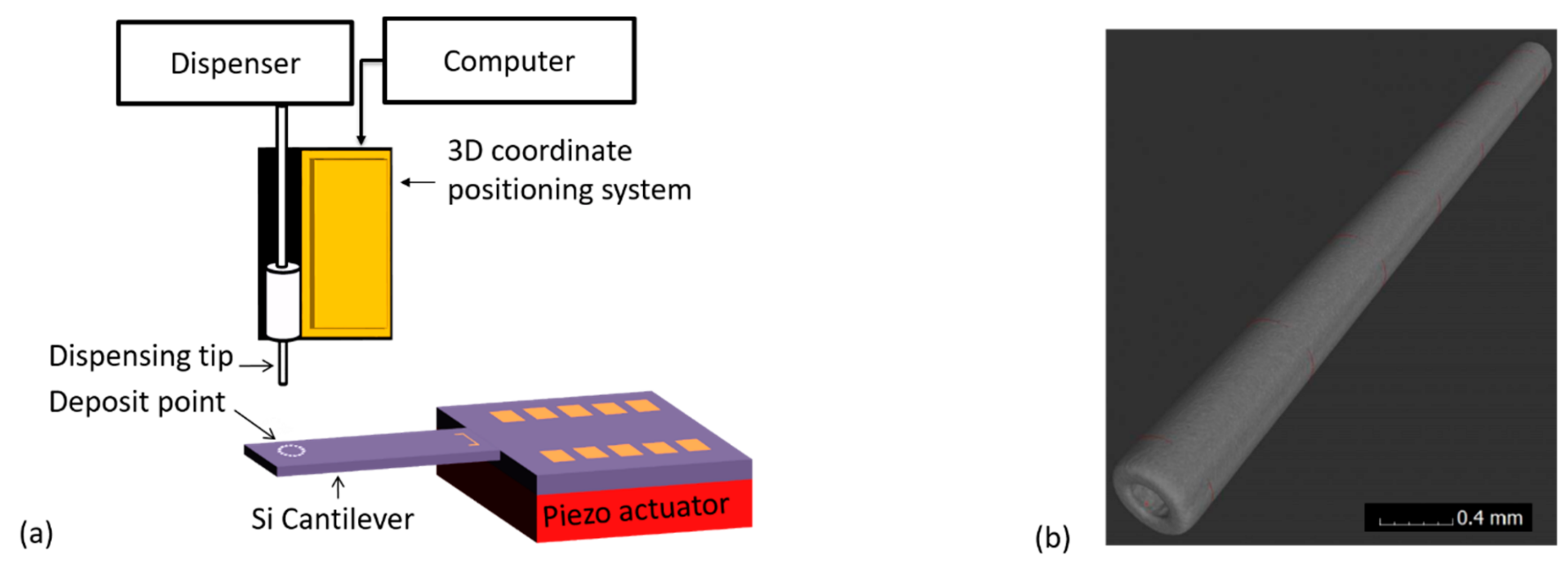 Sensors 19 04758 g003