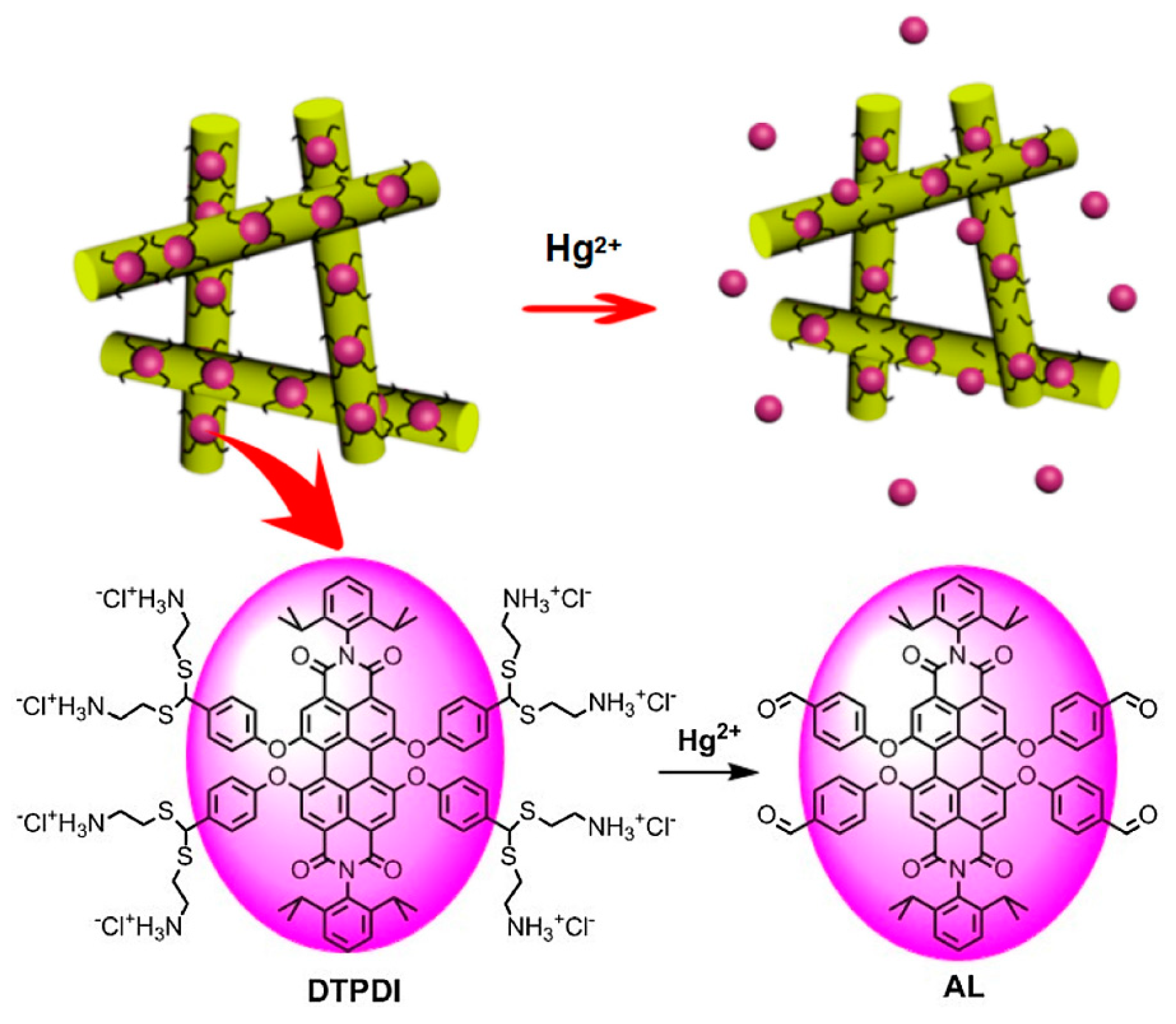 Sensors 19 04763 g009