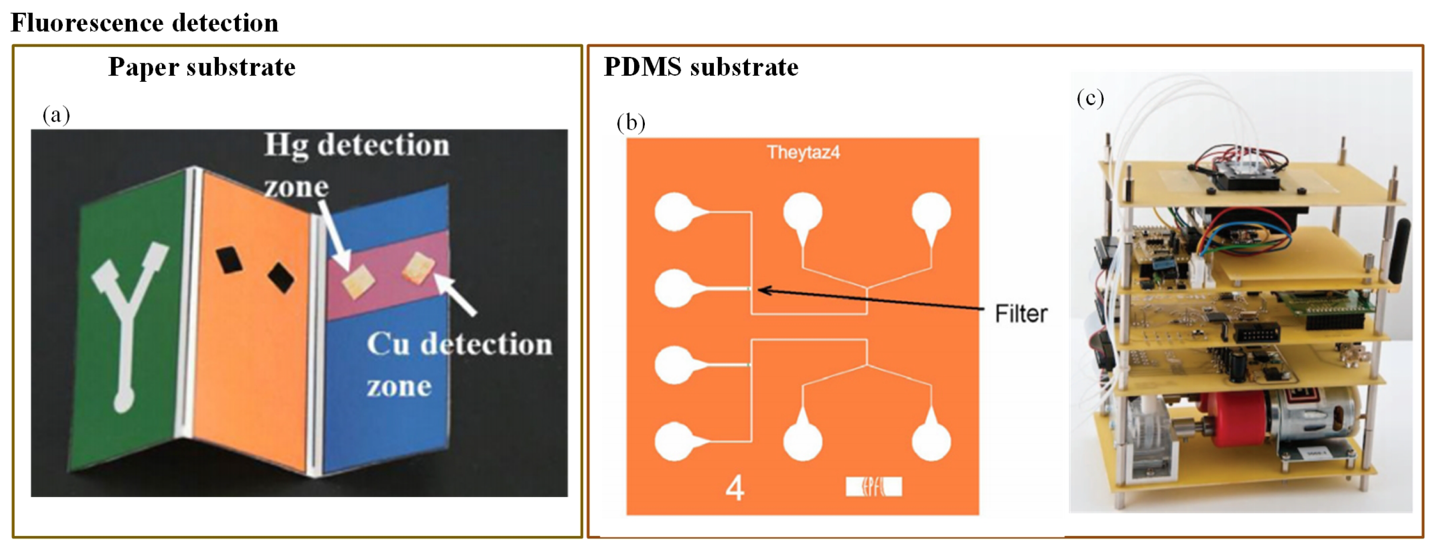 Sensors 19 04781 g008