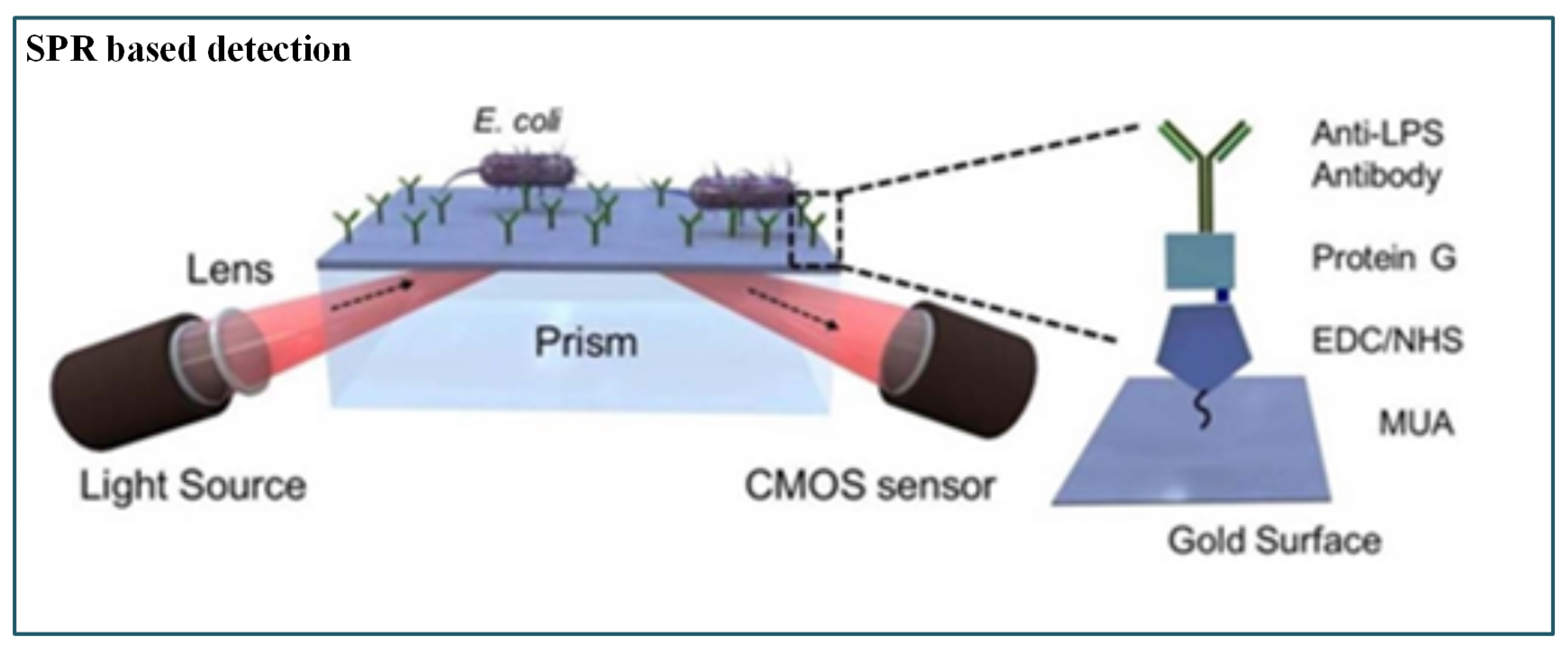 Sensors 19 04781 g011