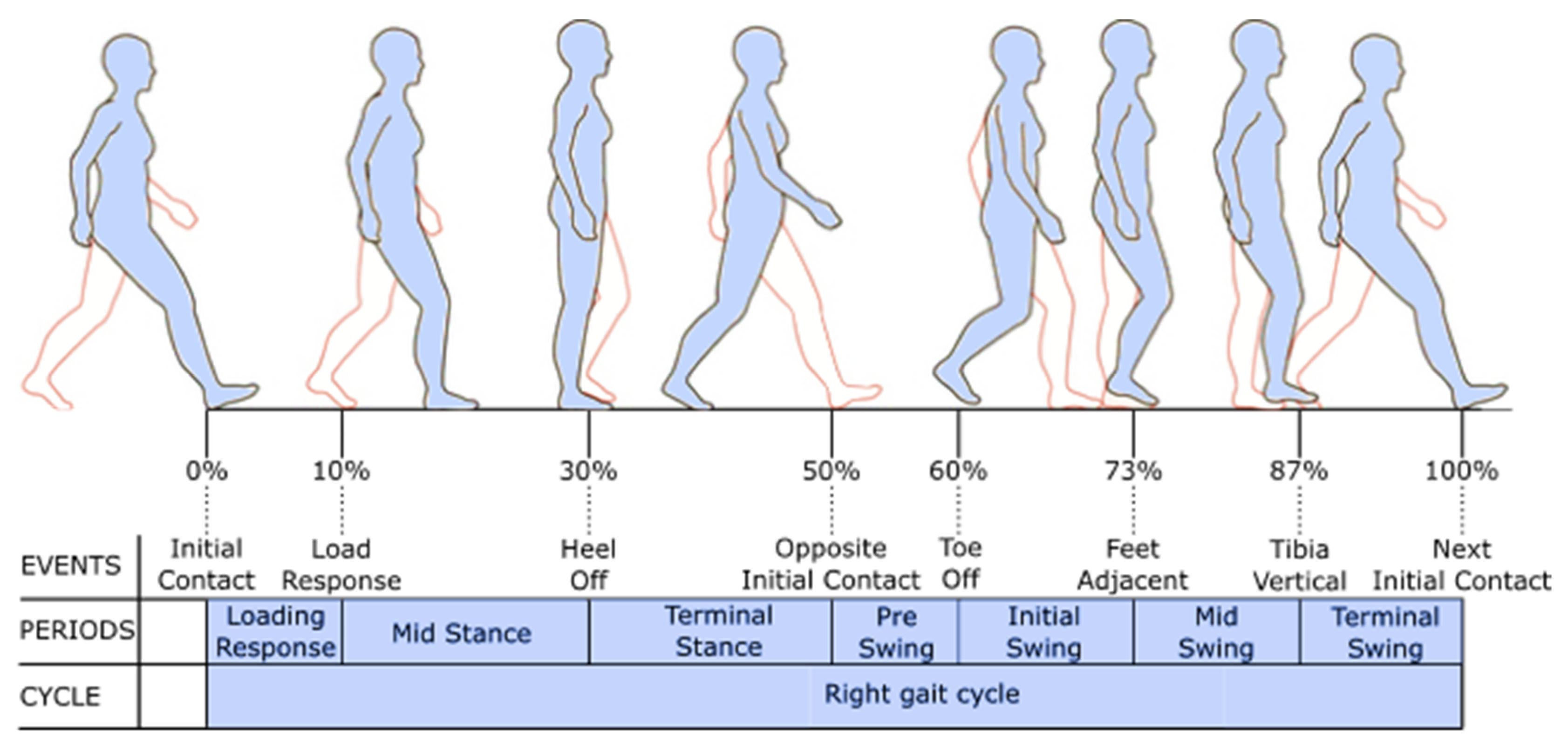 Sensors 19 04804 g003