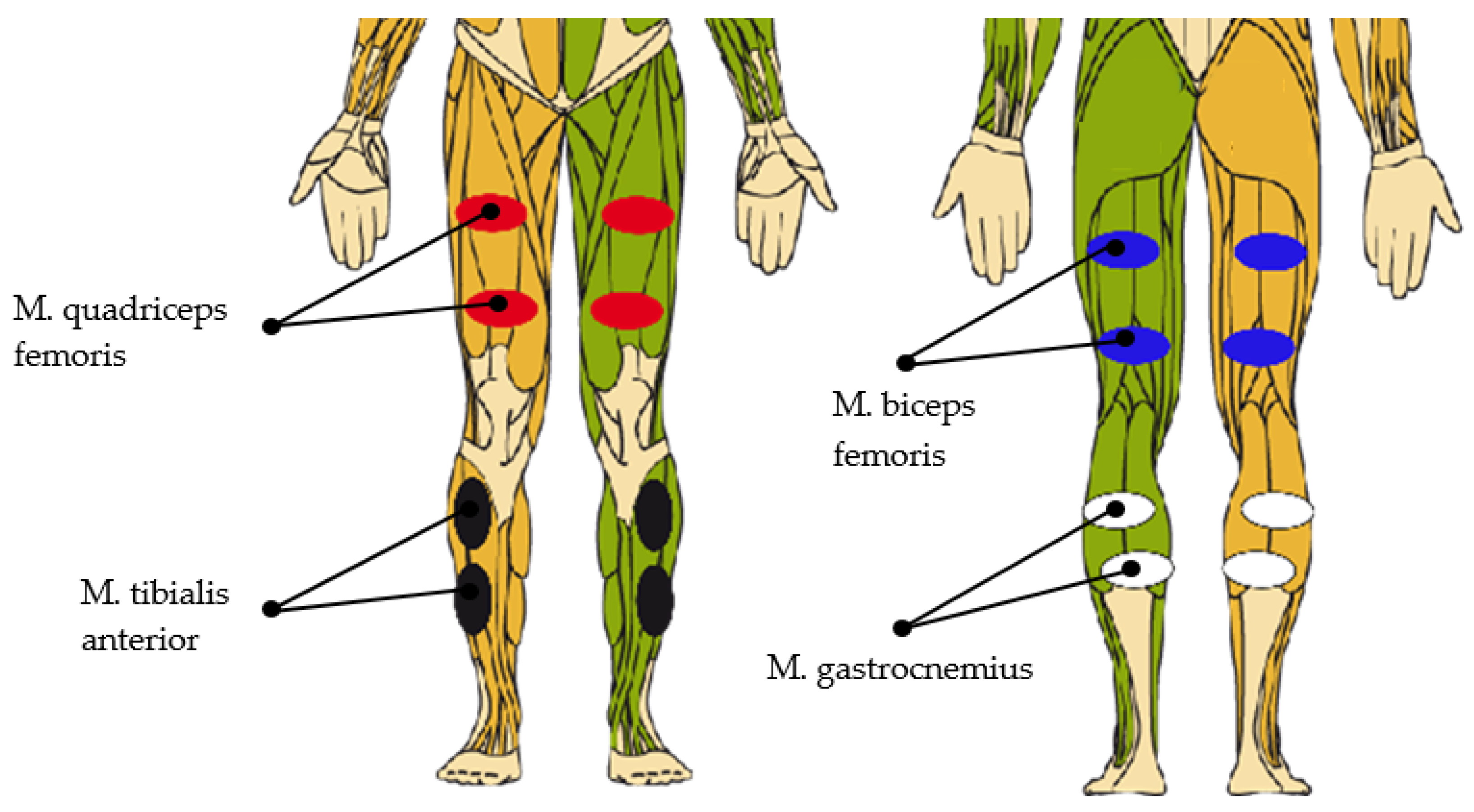 Sensors 19 04804 g010