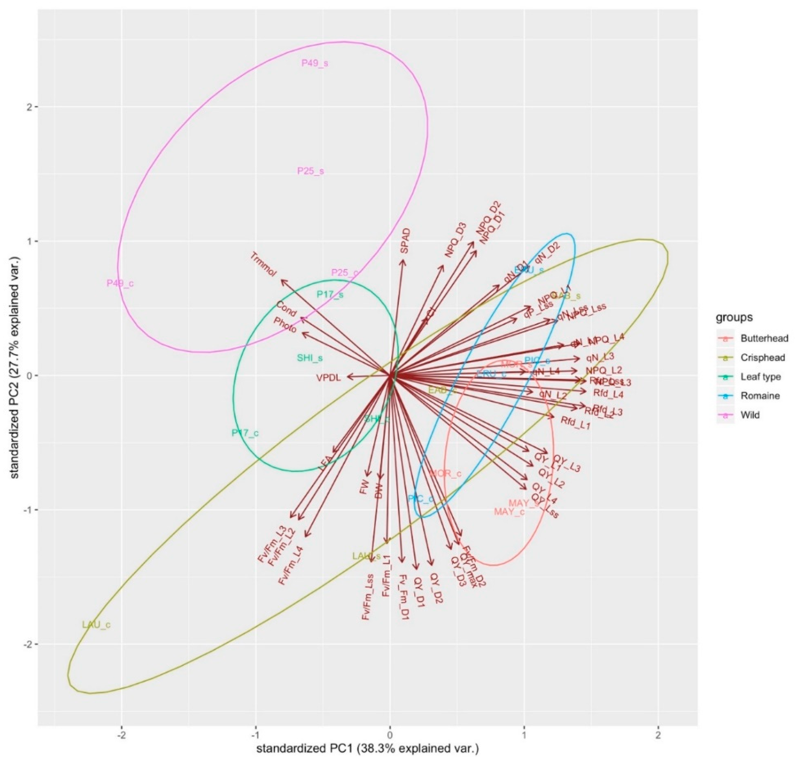 Sensors 19 04814 g005