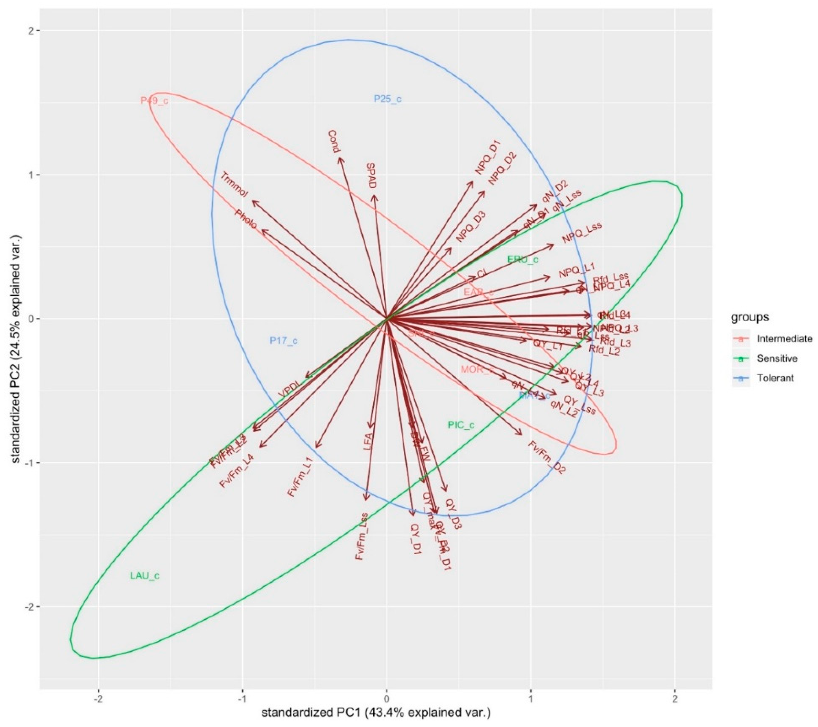 Sensors 19 04814 g006