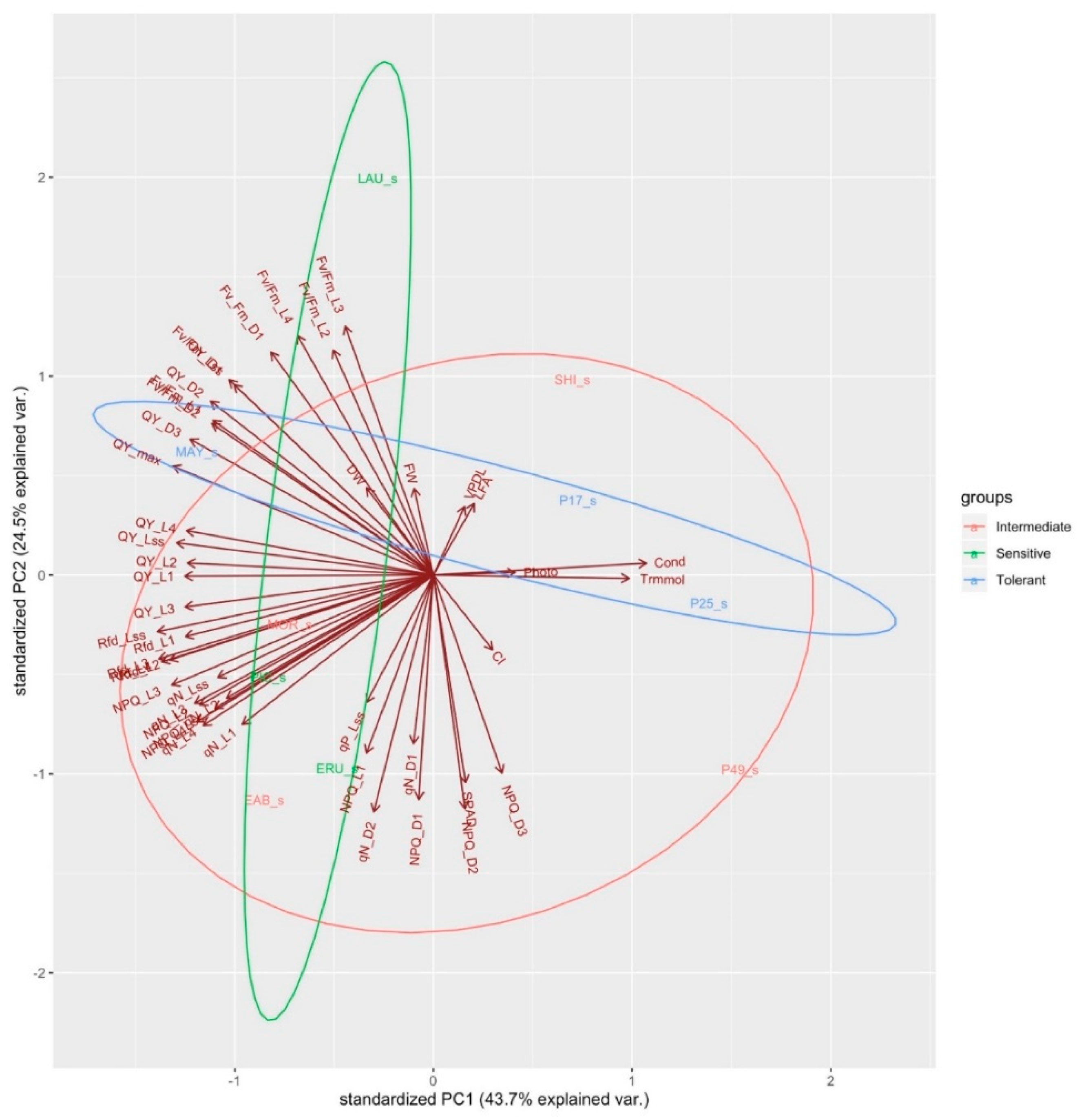 Sensors 19 04814 g007