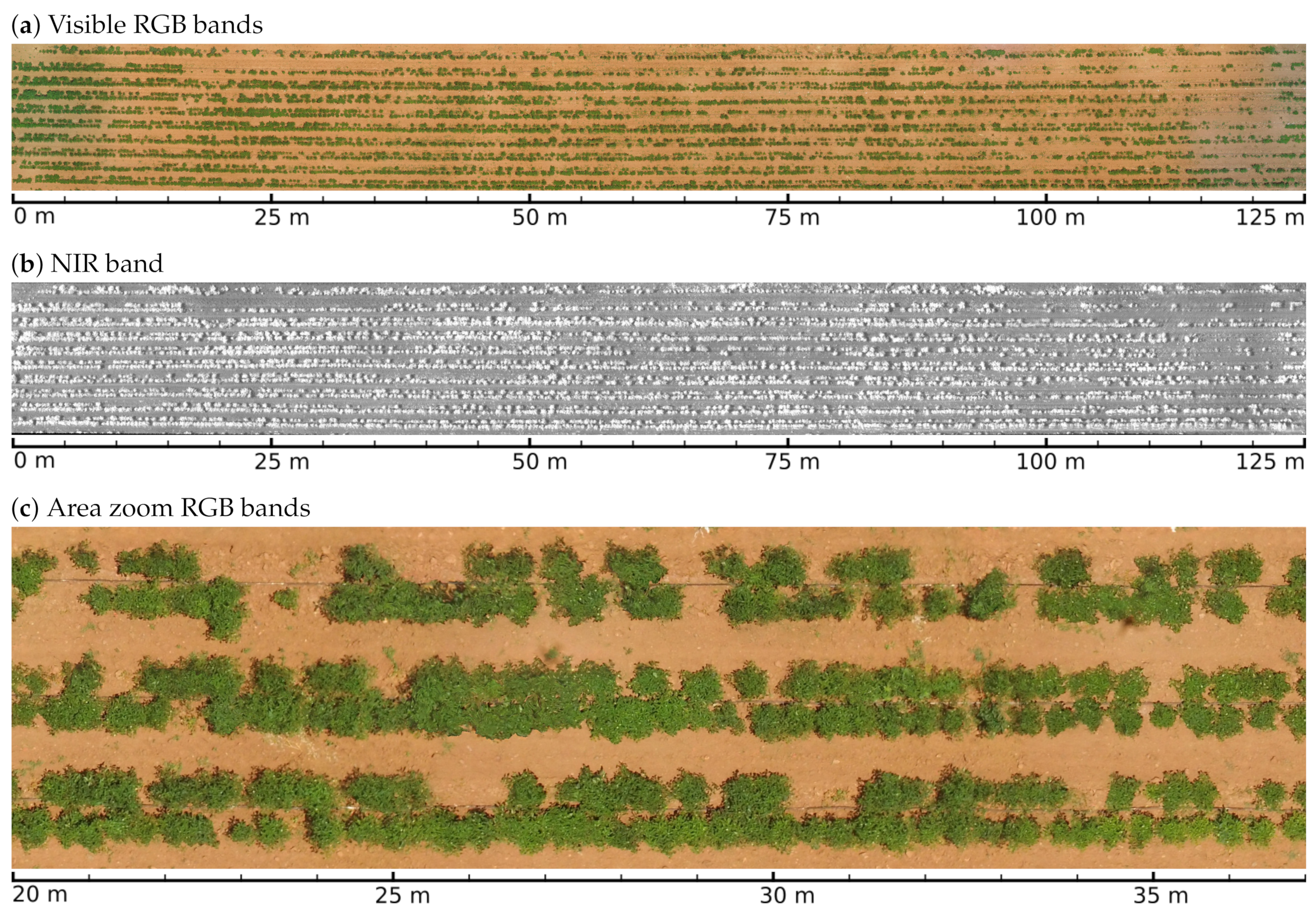 Sensors 19 04817 g001
