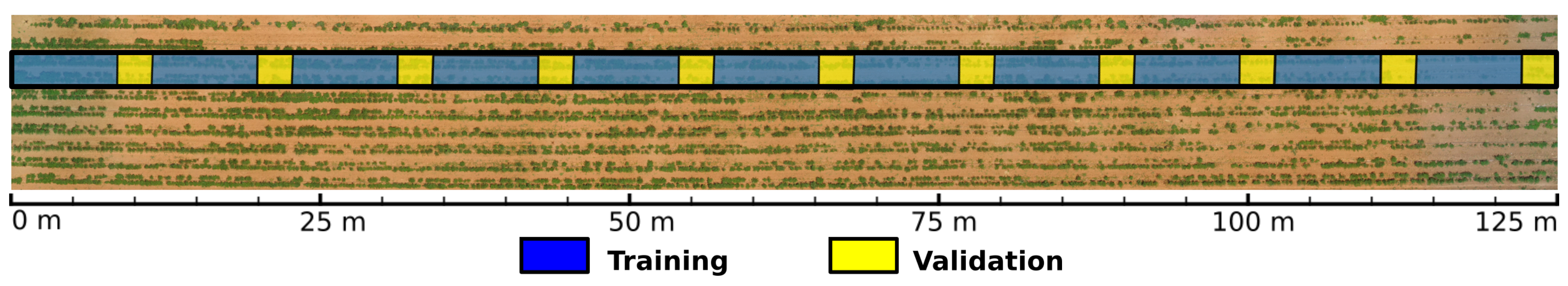 Sensors 19 04817 g007