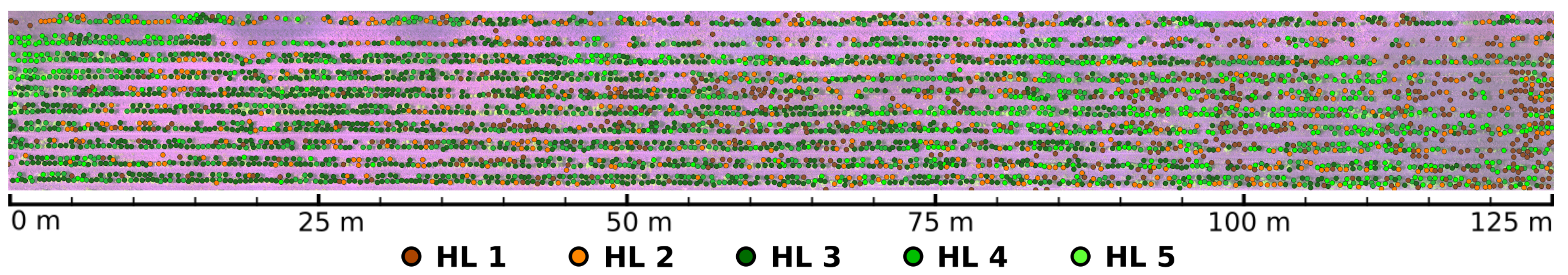 Sensors 19 04817 g009