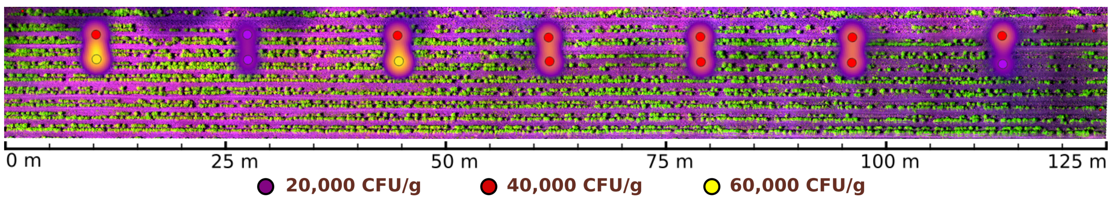 Sensors 19 04817 g013