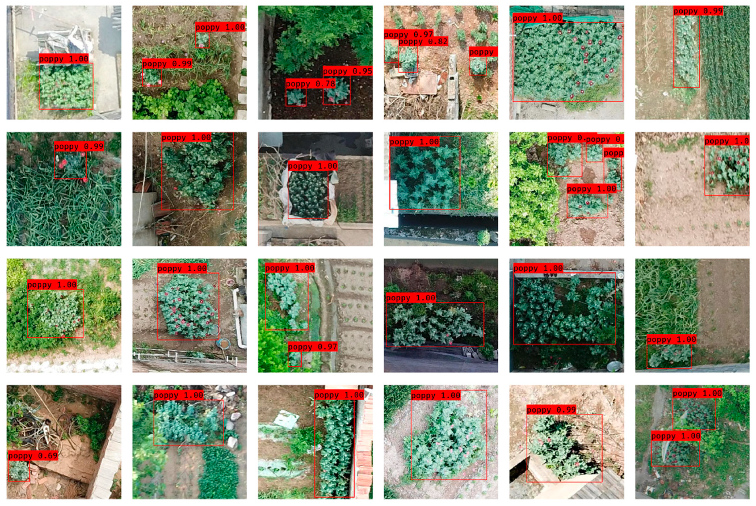 Sensors 19 04851 g014 Sensors 19 04851 g014