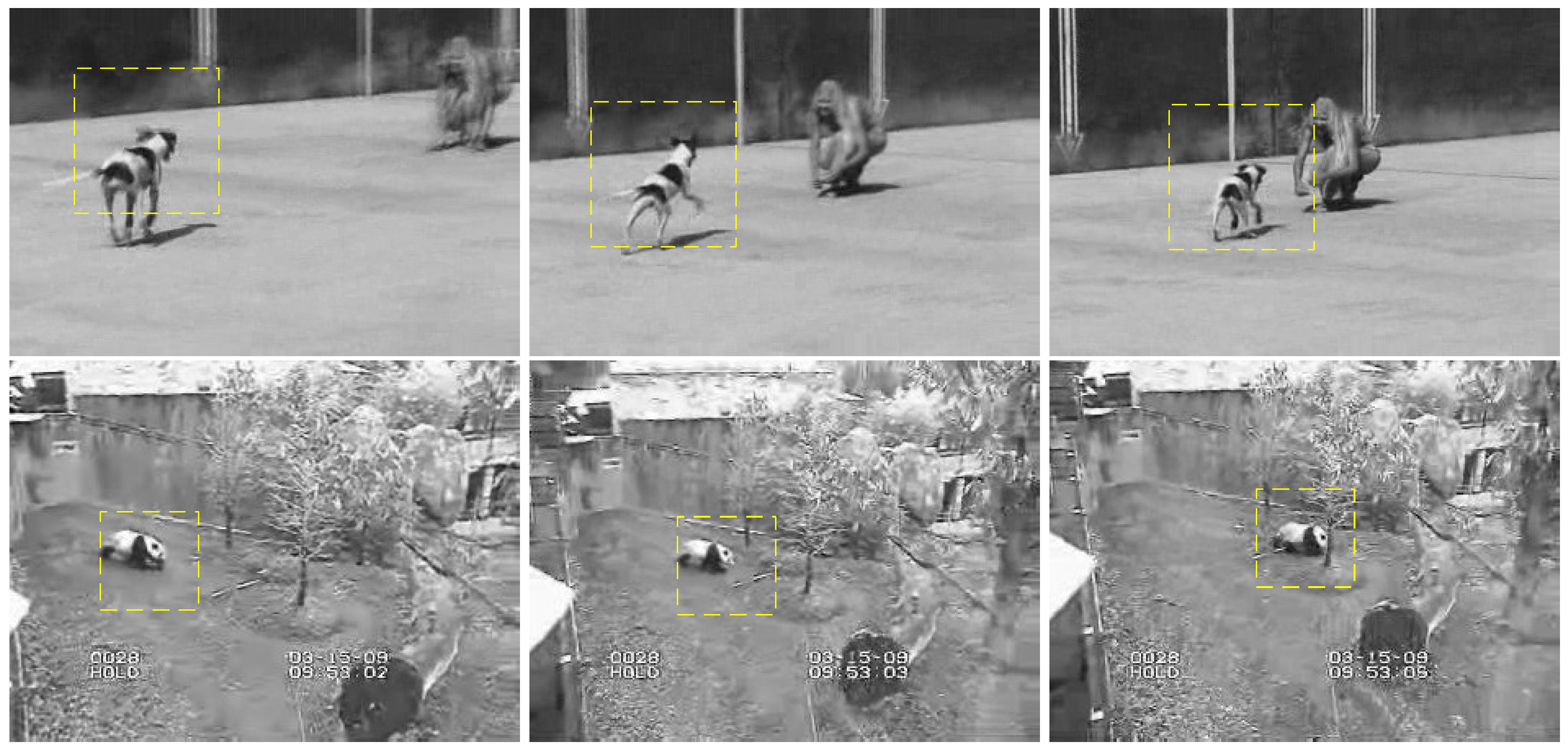 Sensors 19 04855 g004