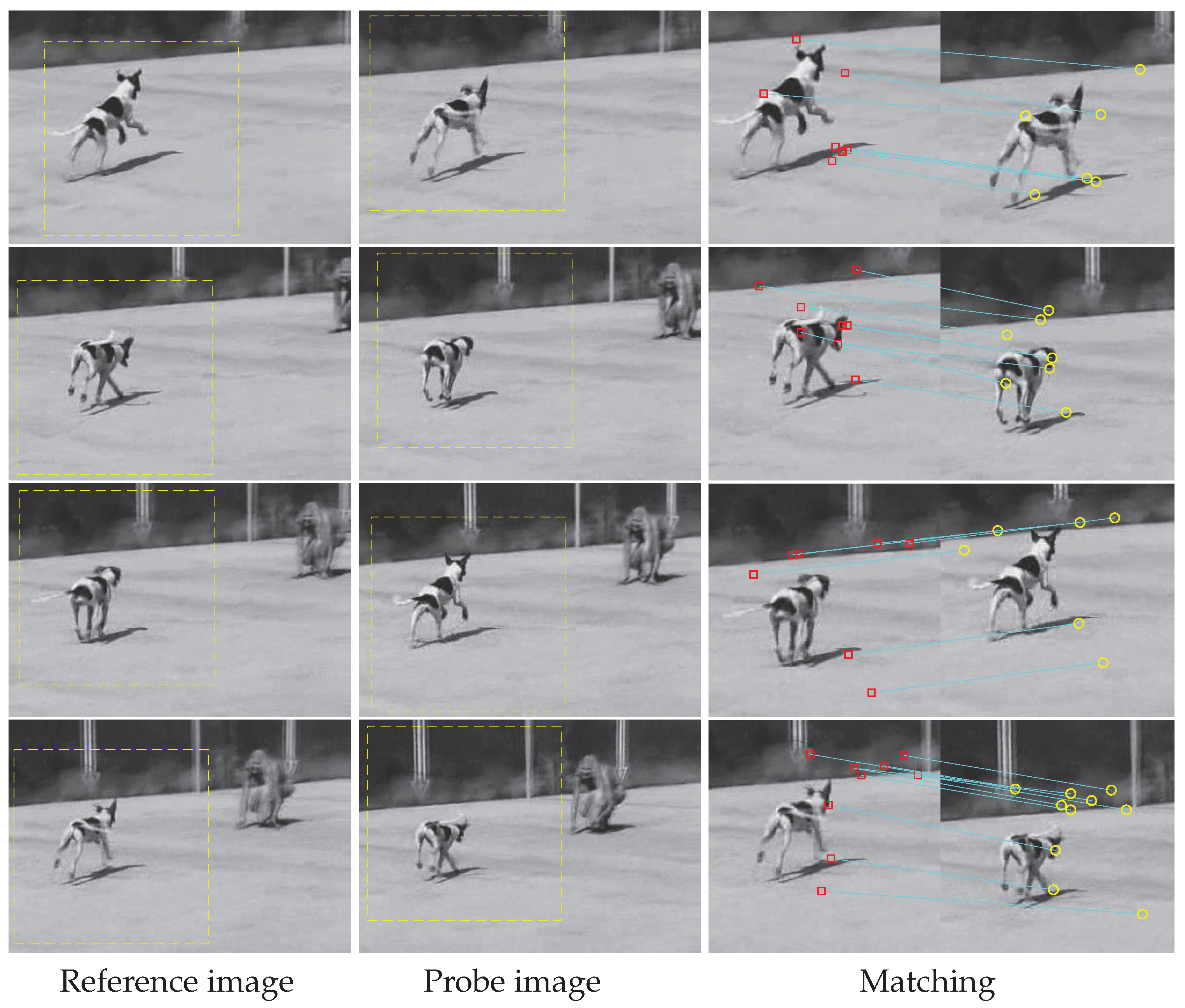 Sensors 19 04855 g005