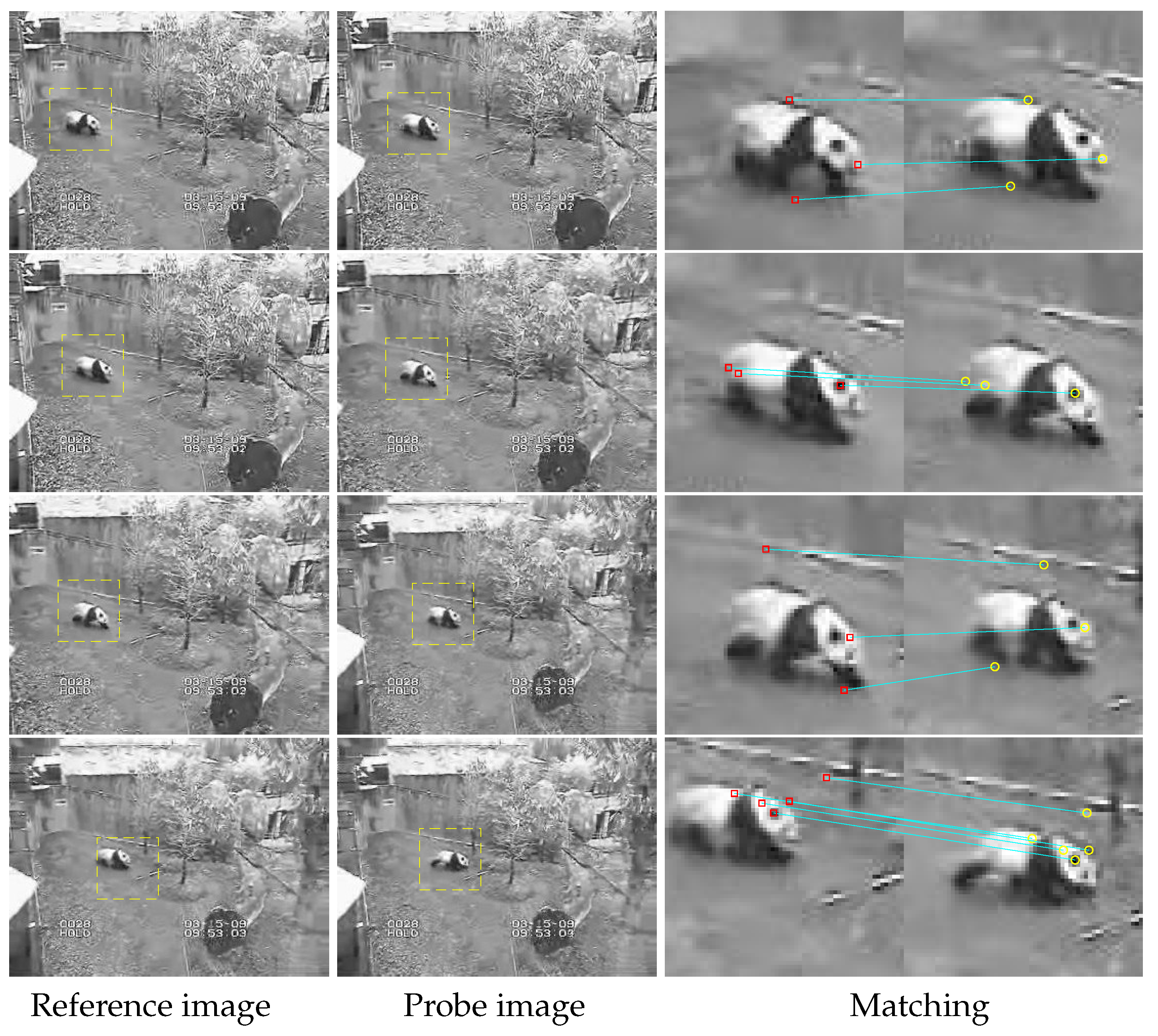 Sensors 19 04855 g006