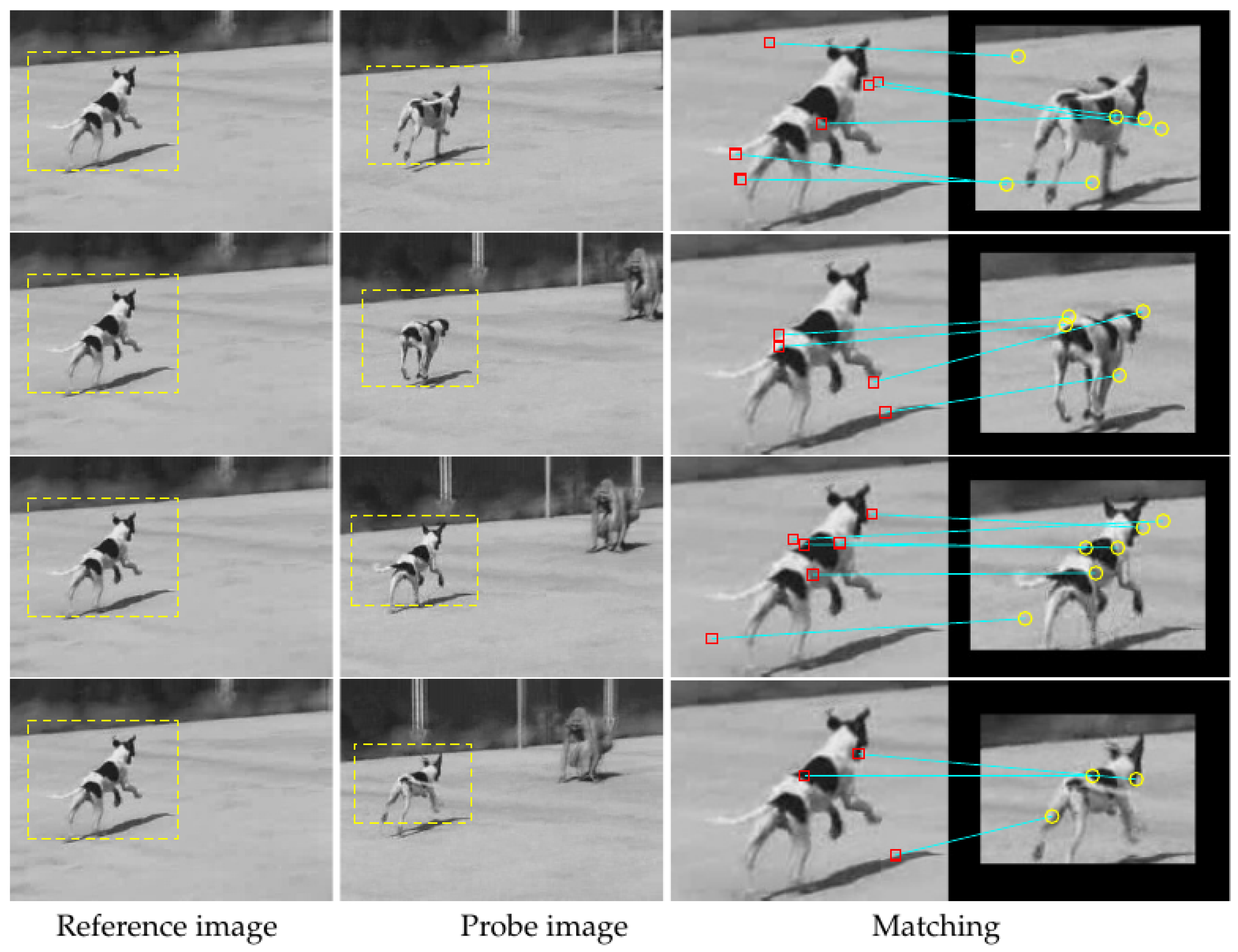 Sensors 19 04855 g007