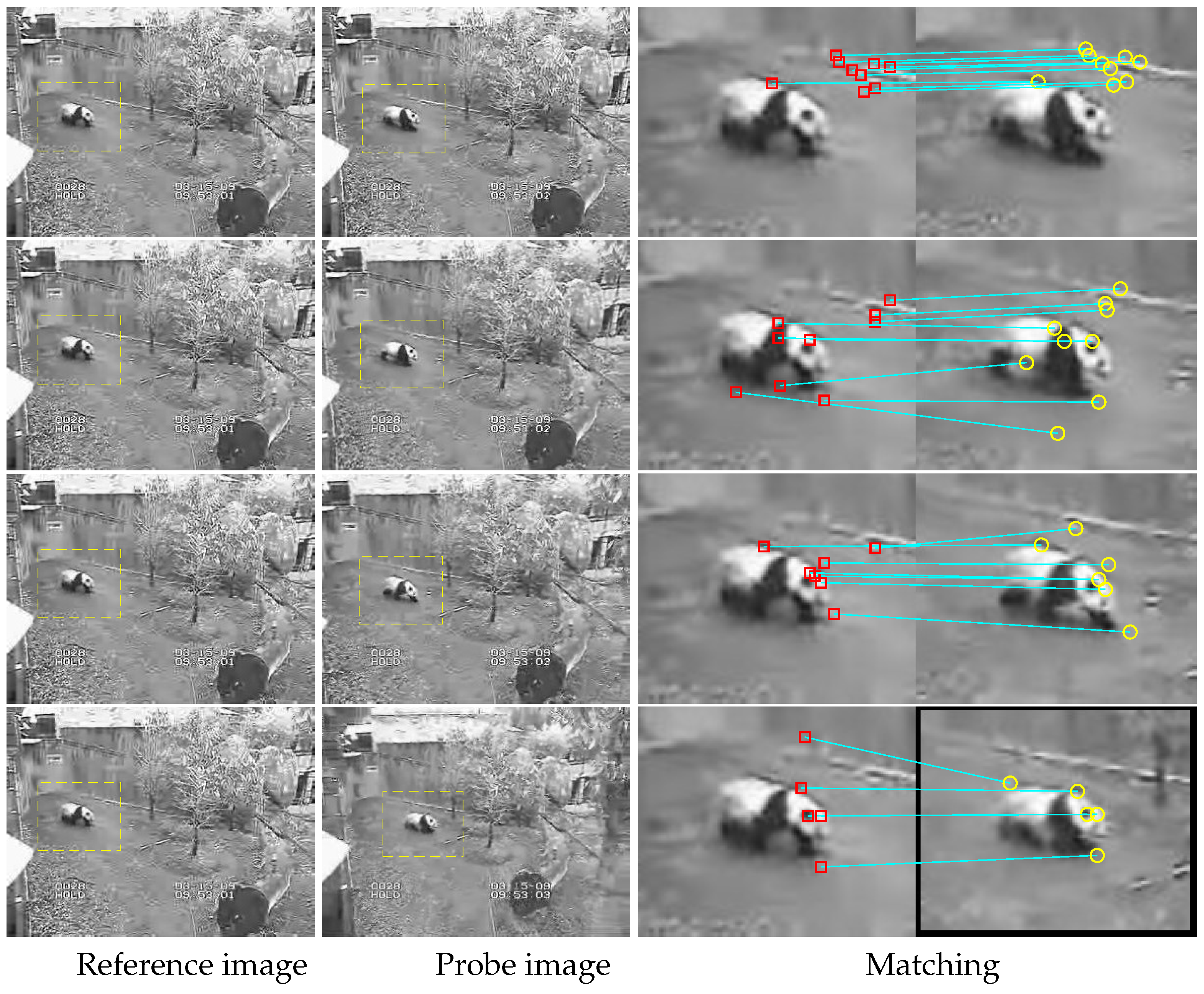 Sensors 19 04855 g008