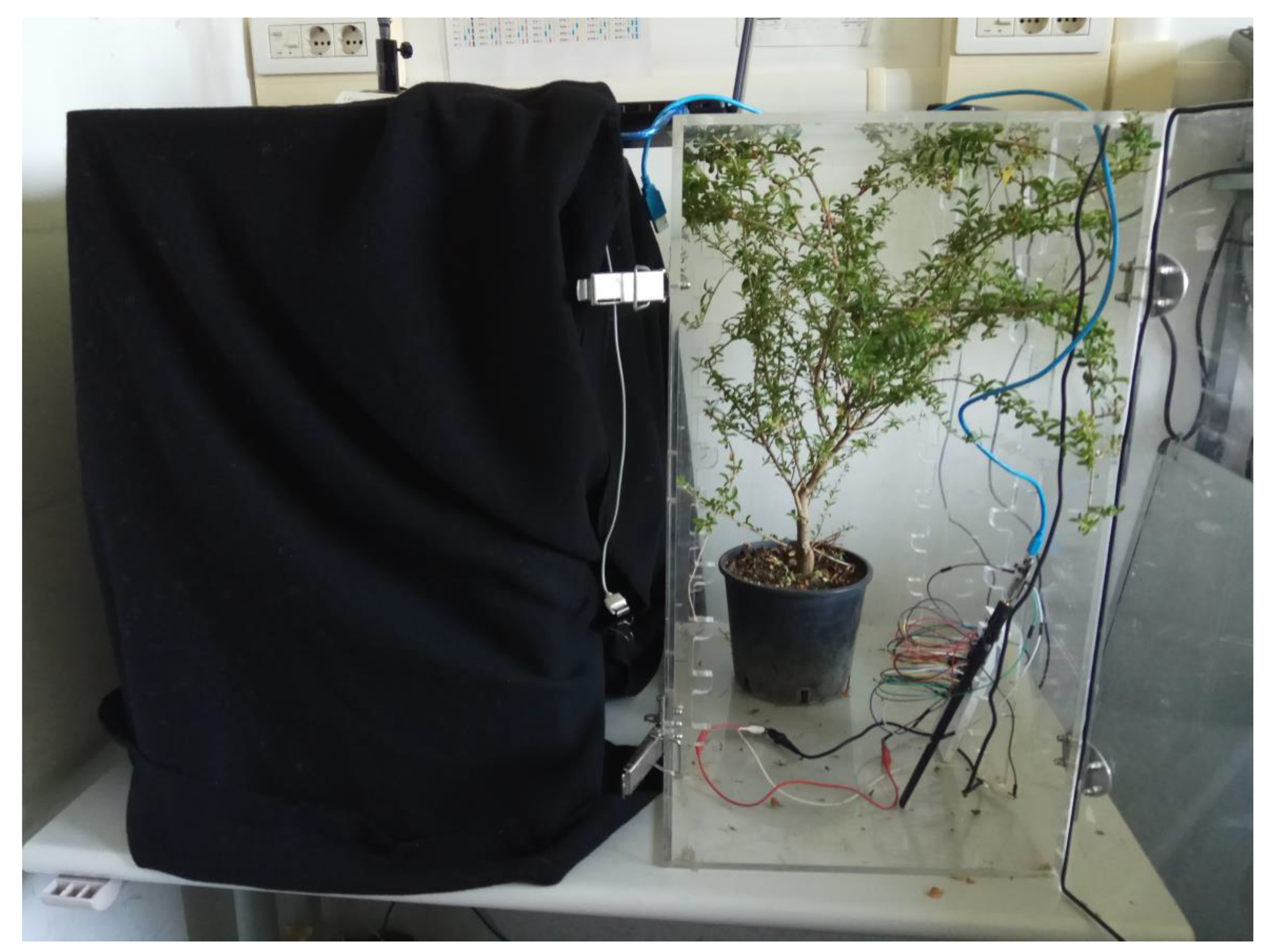 Sensors 19 04865 g002