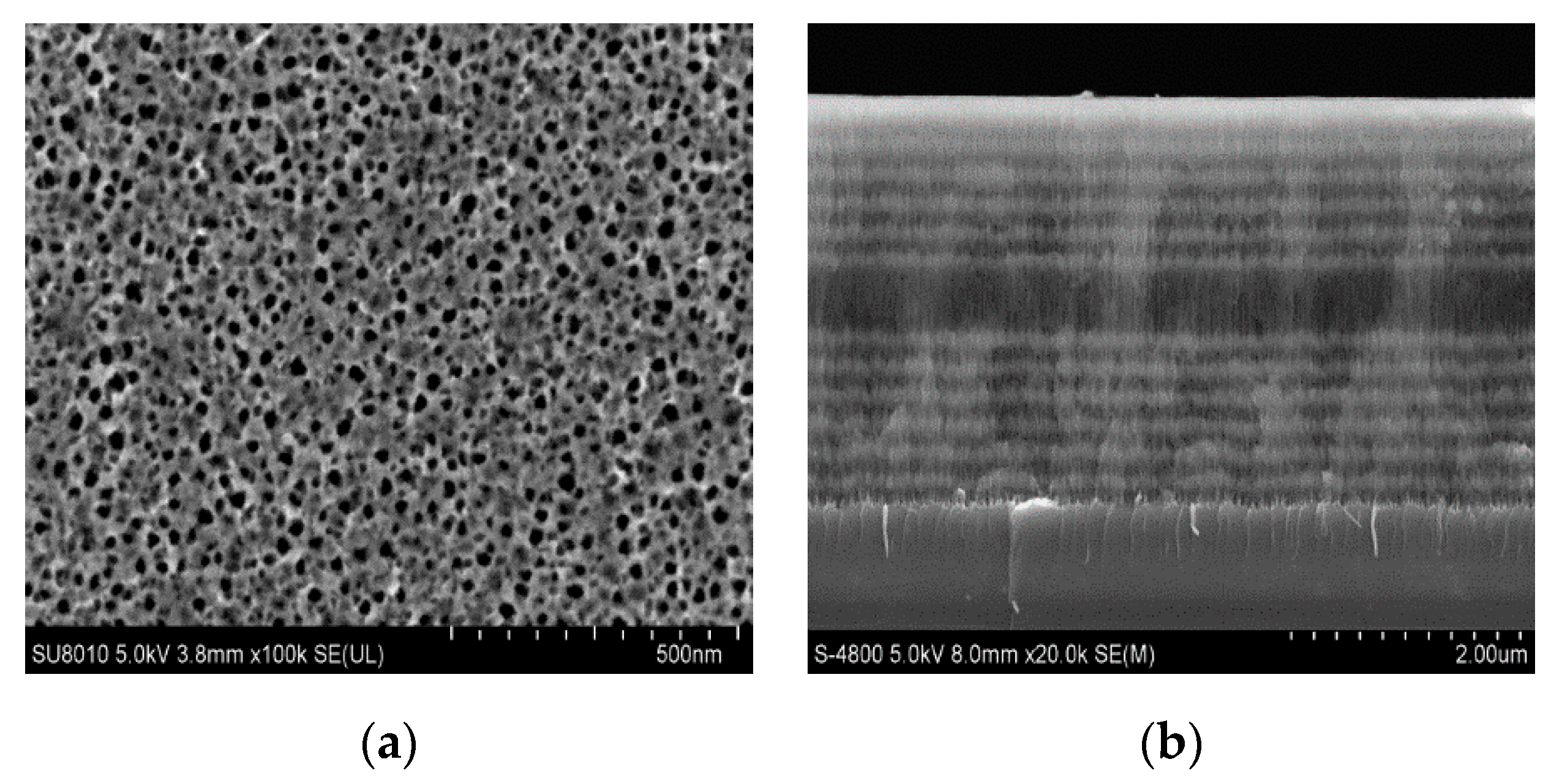 Sensors 19 04872 g005 Sensors 19 04872 g005
