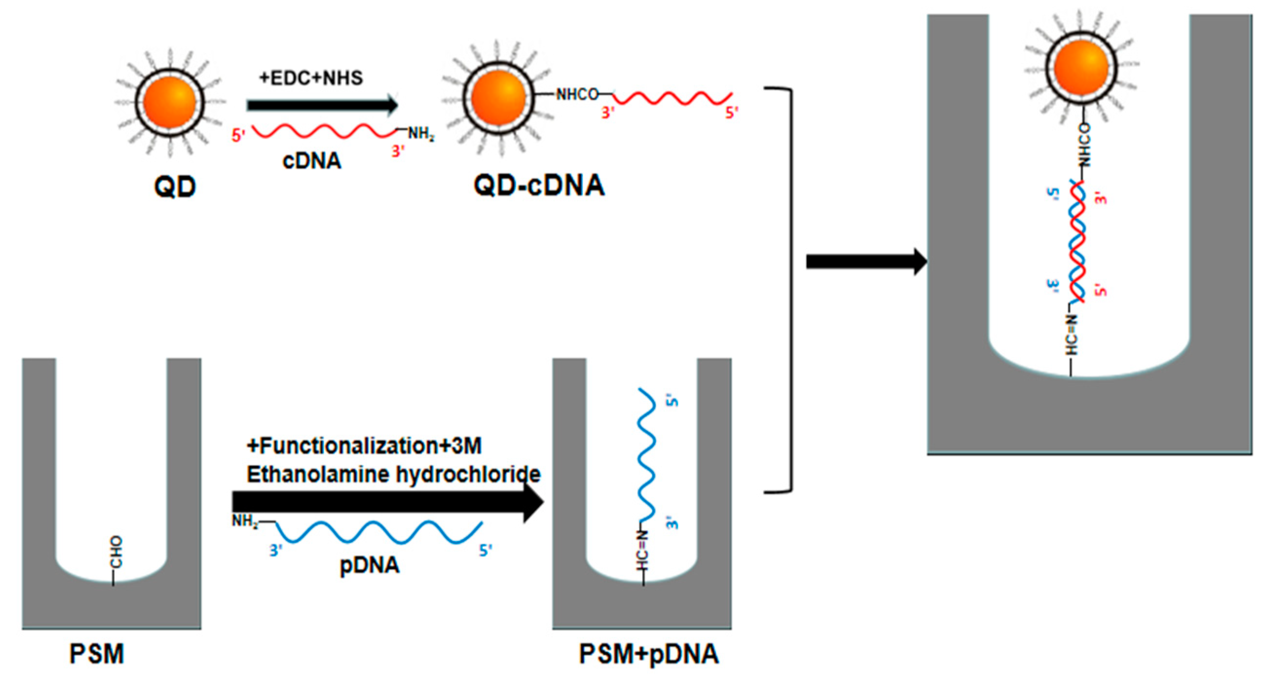 Sensors 19 04872 g007 Sensors 19 04872 g007