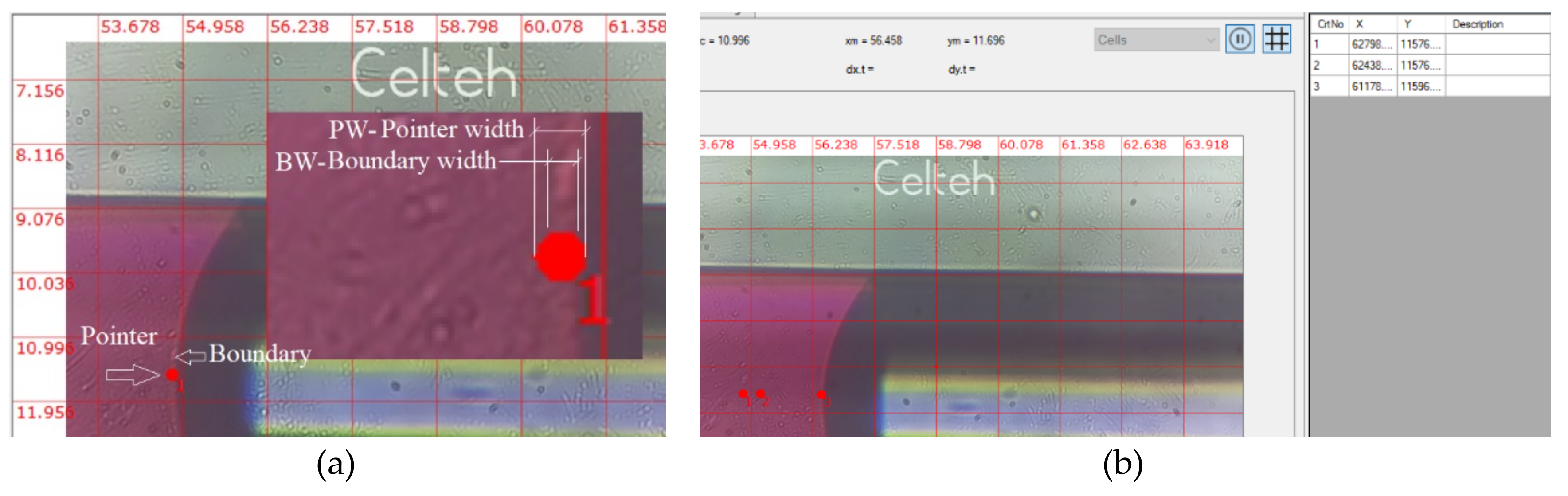 Sensors 19 04886 g005