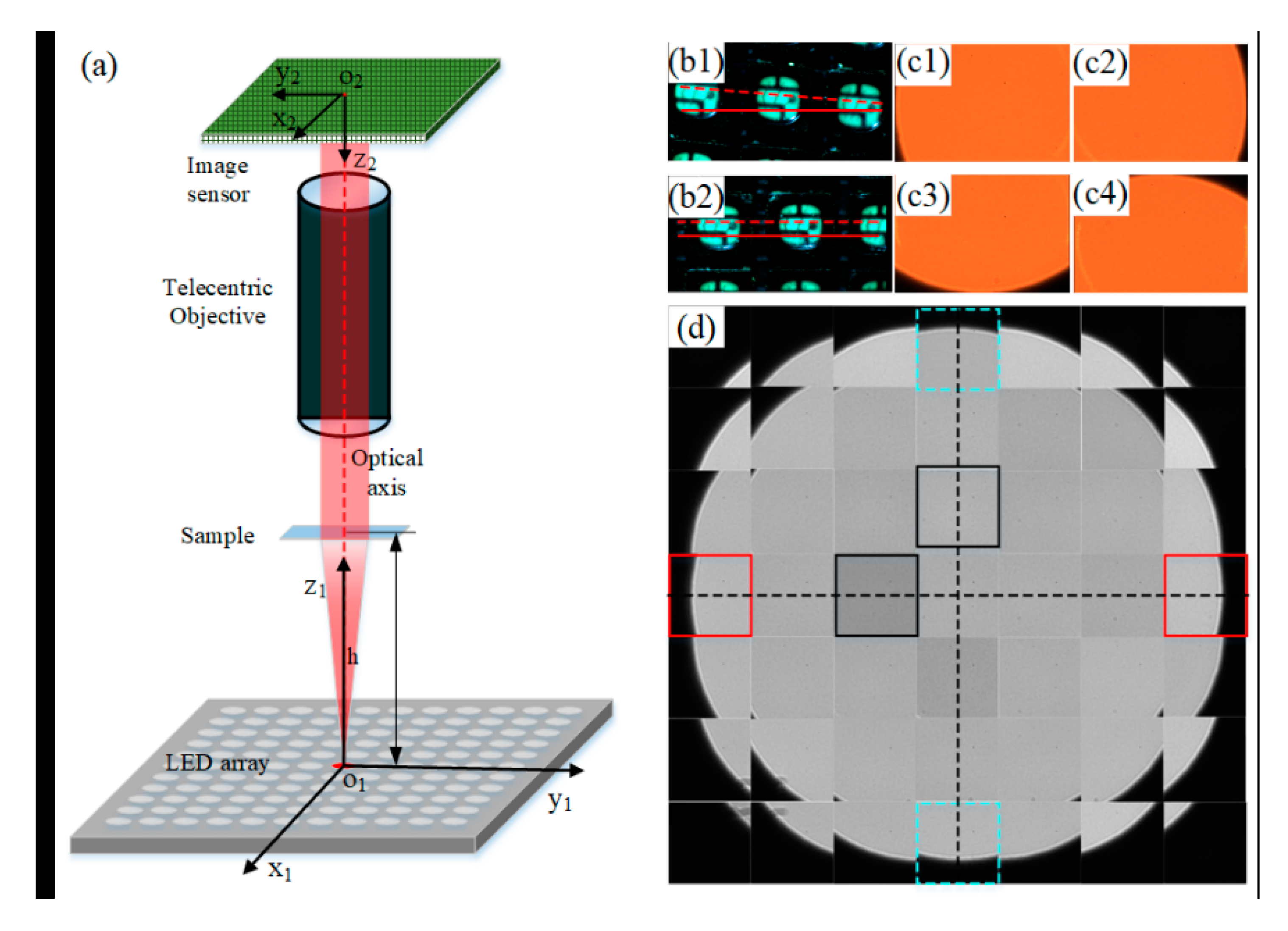 Sensors 19 04913 g003