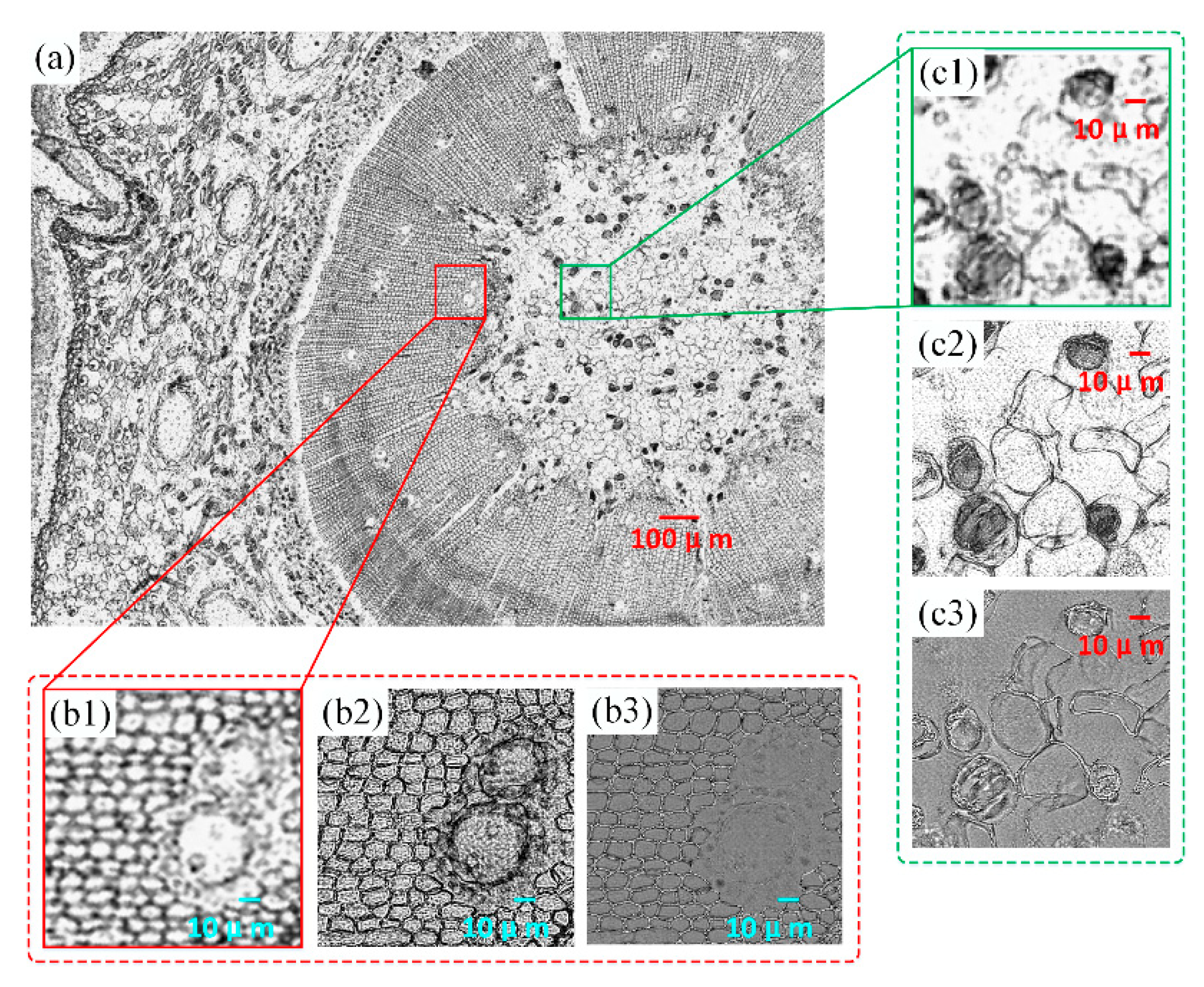 Sensors 19 04913 g006