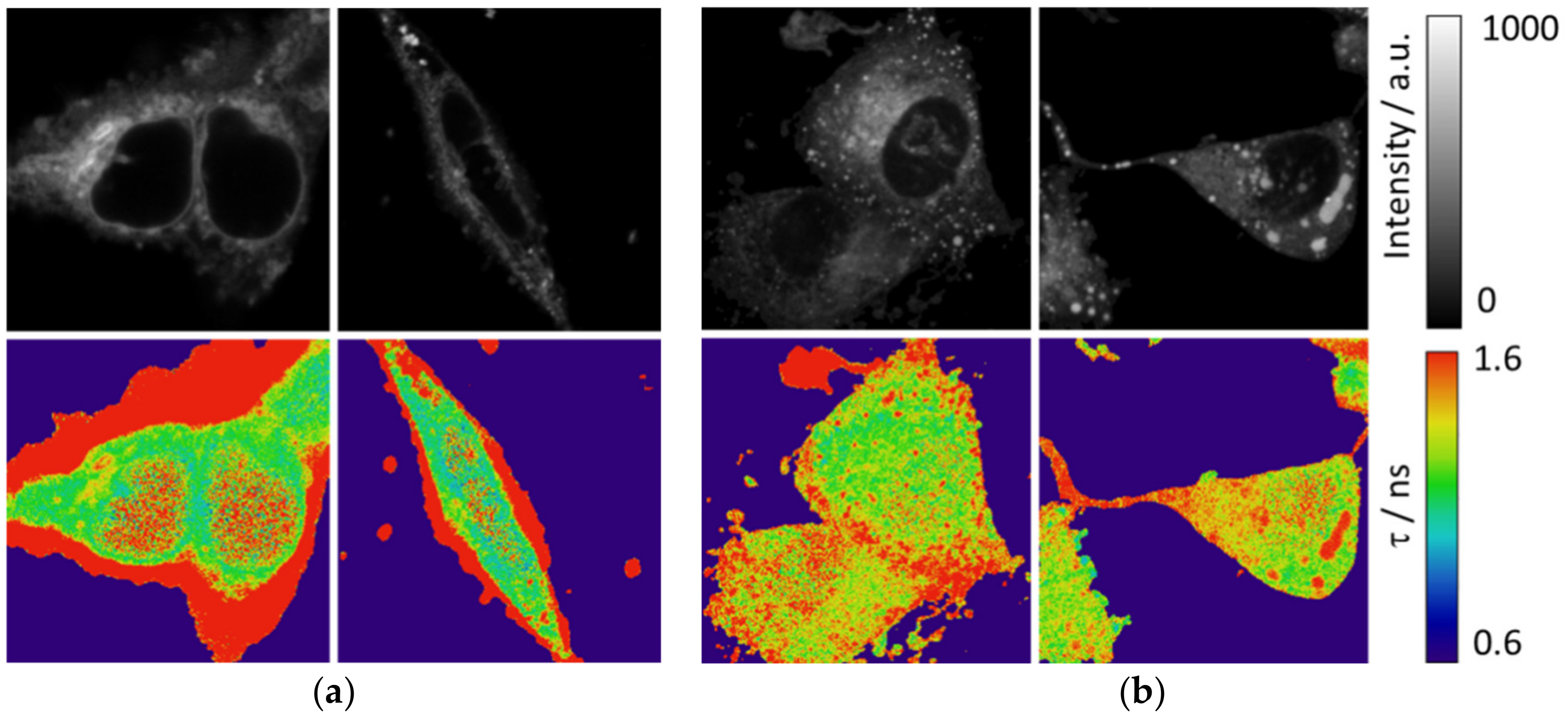 Sensors 19 04932 g006