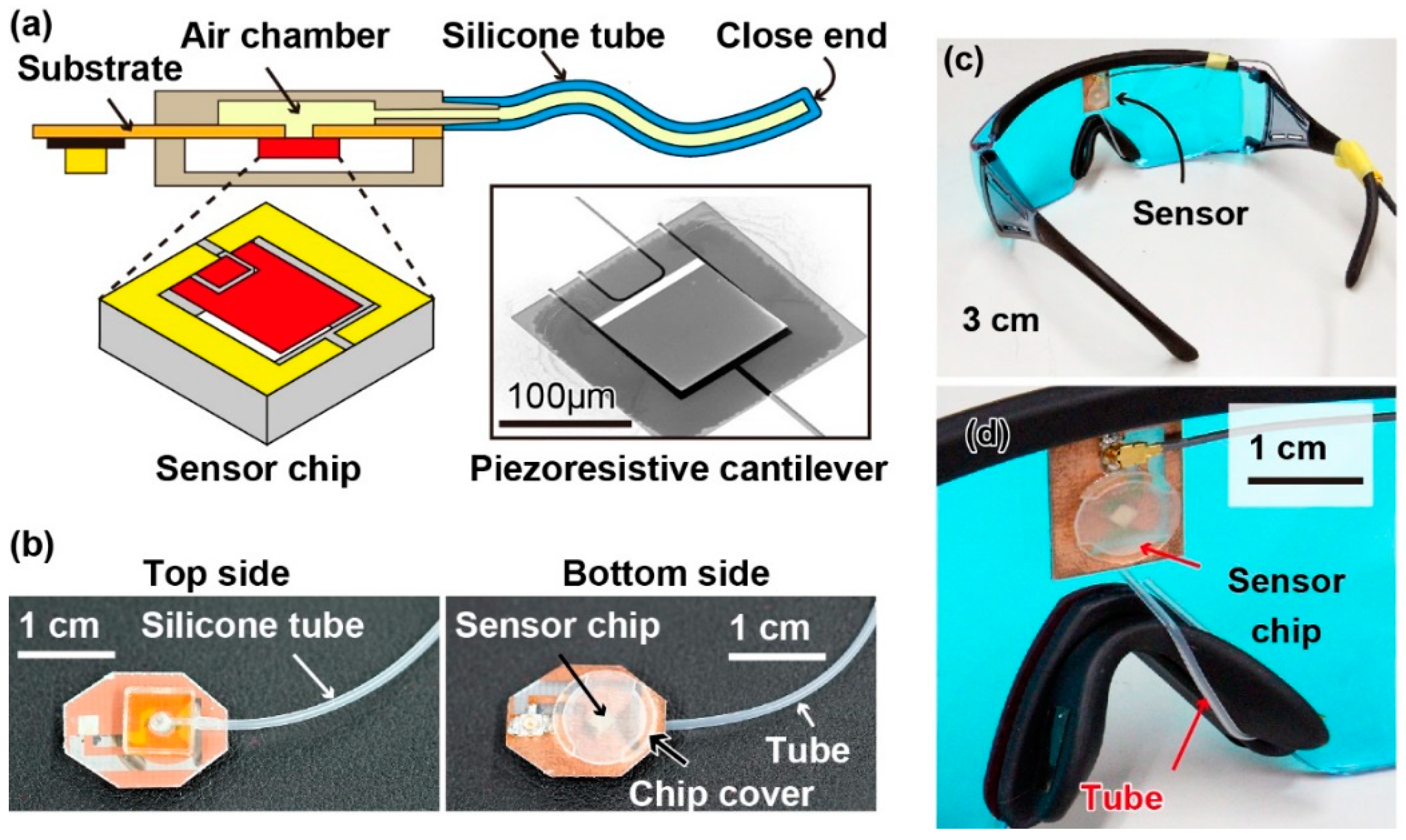 Sensors 19 04942 g002