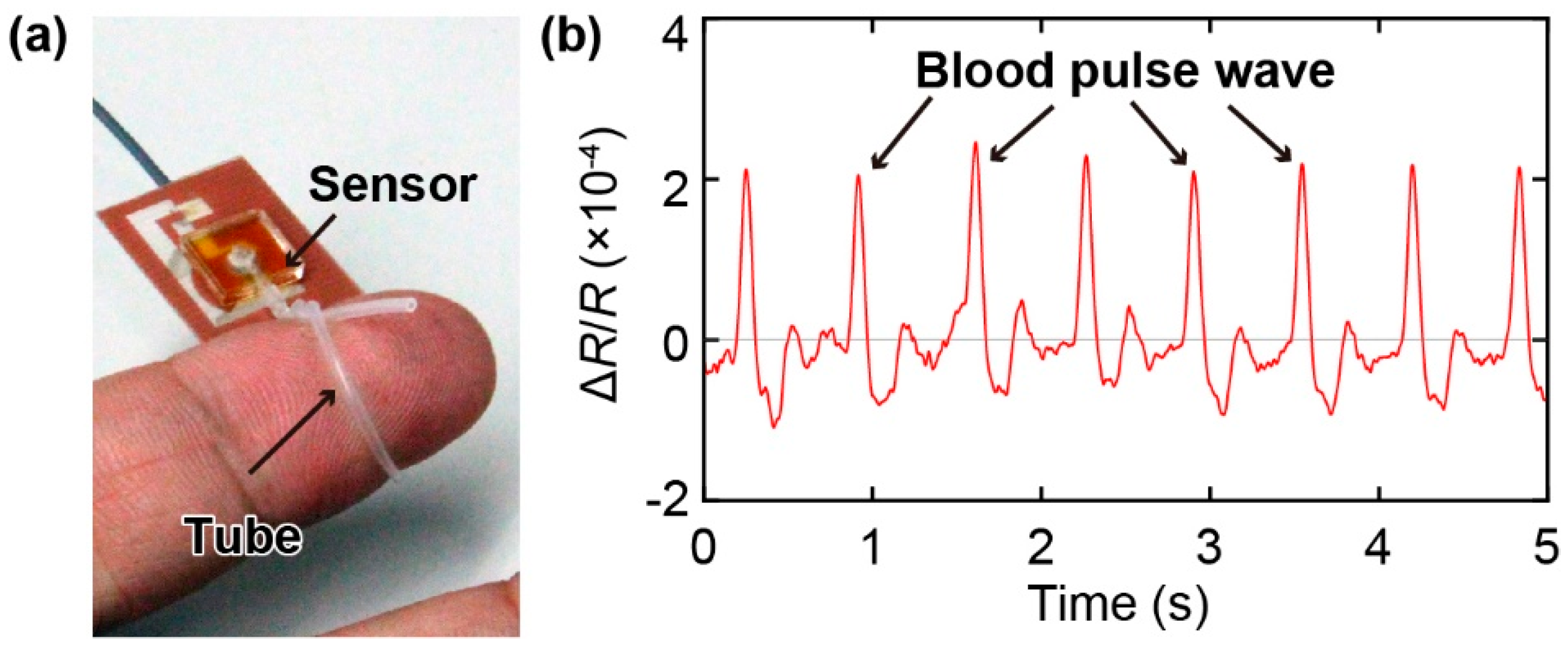 Sensors 19 04942 g004
