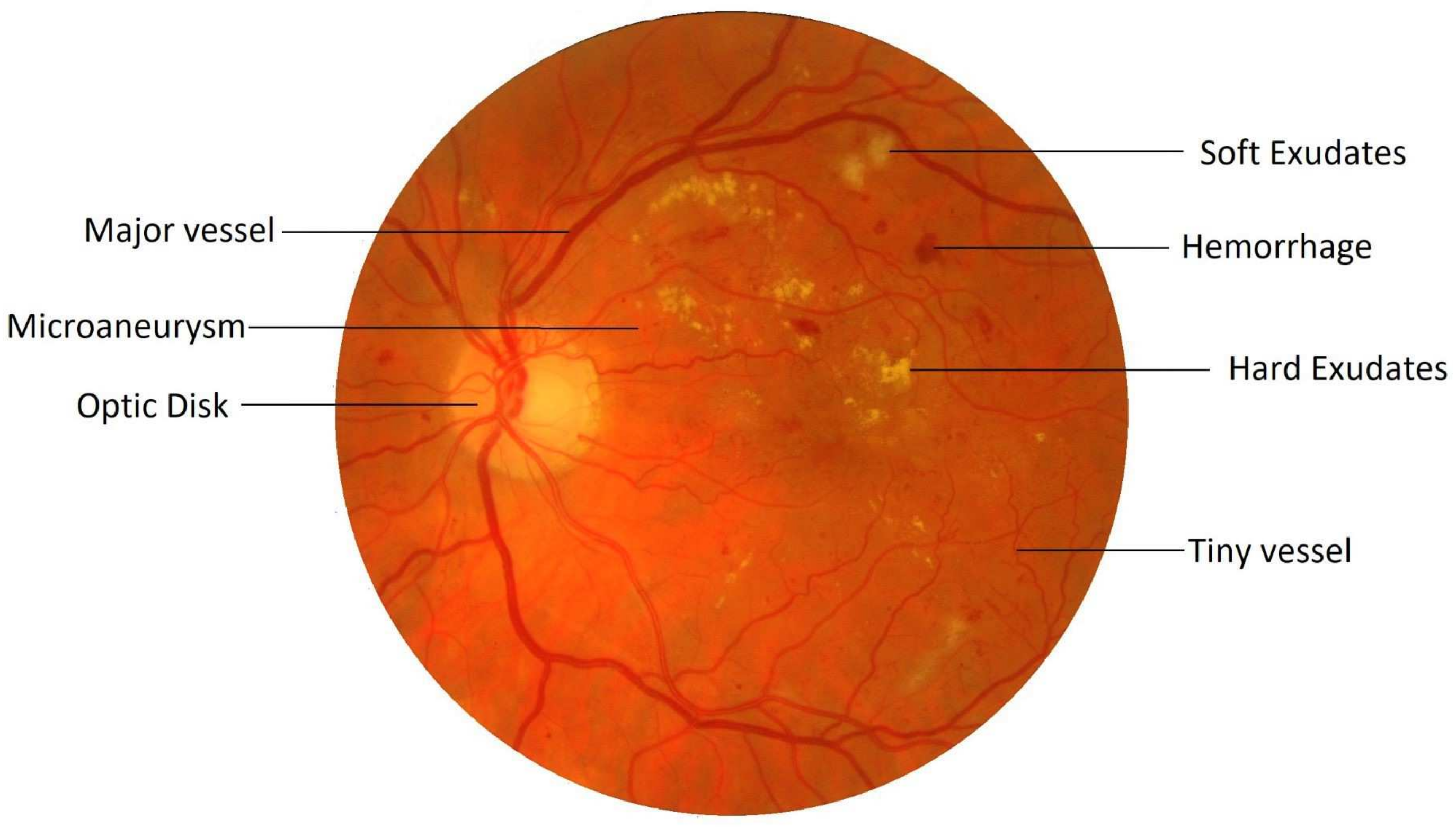 Sensors 19 04949 g001