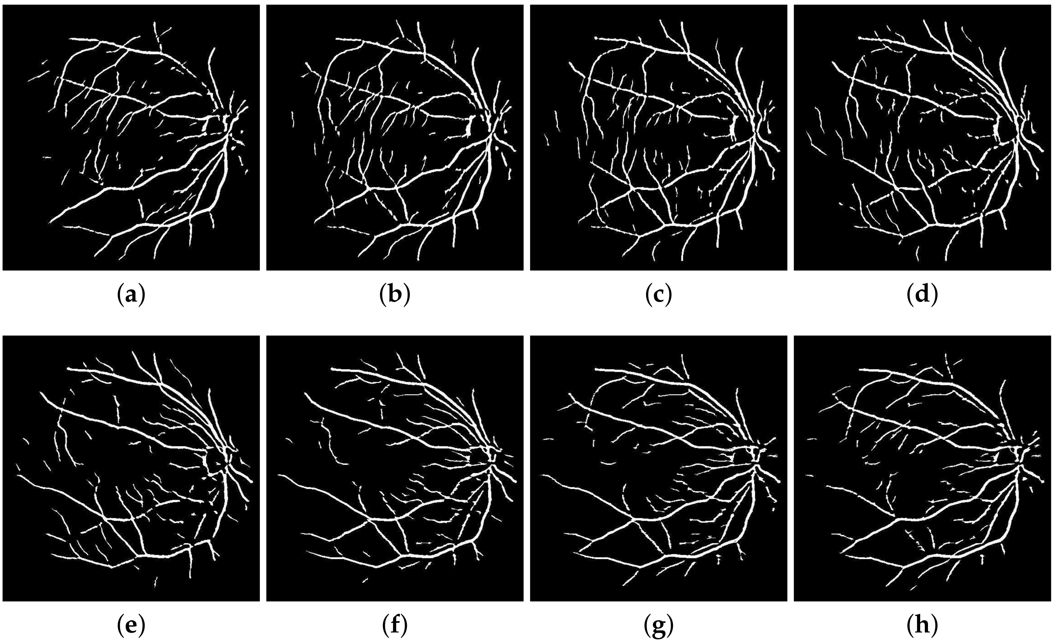 Sensors 19 04949 g004