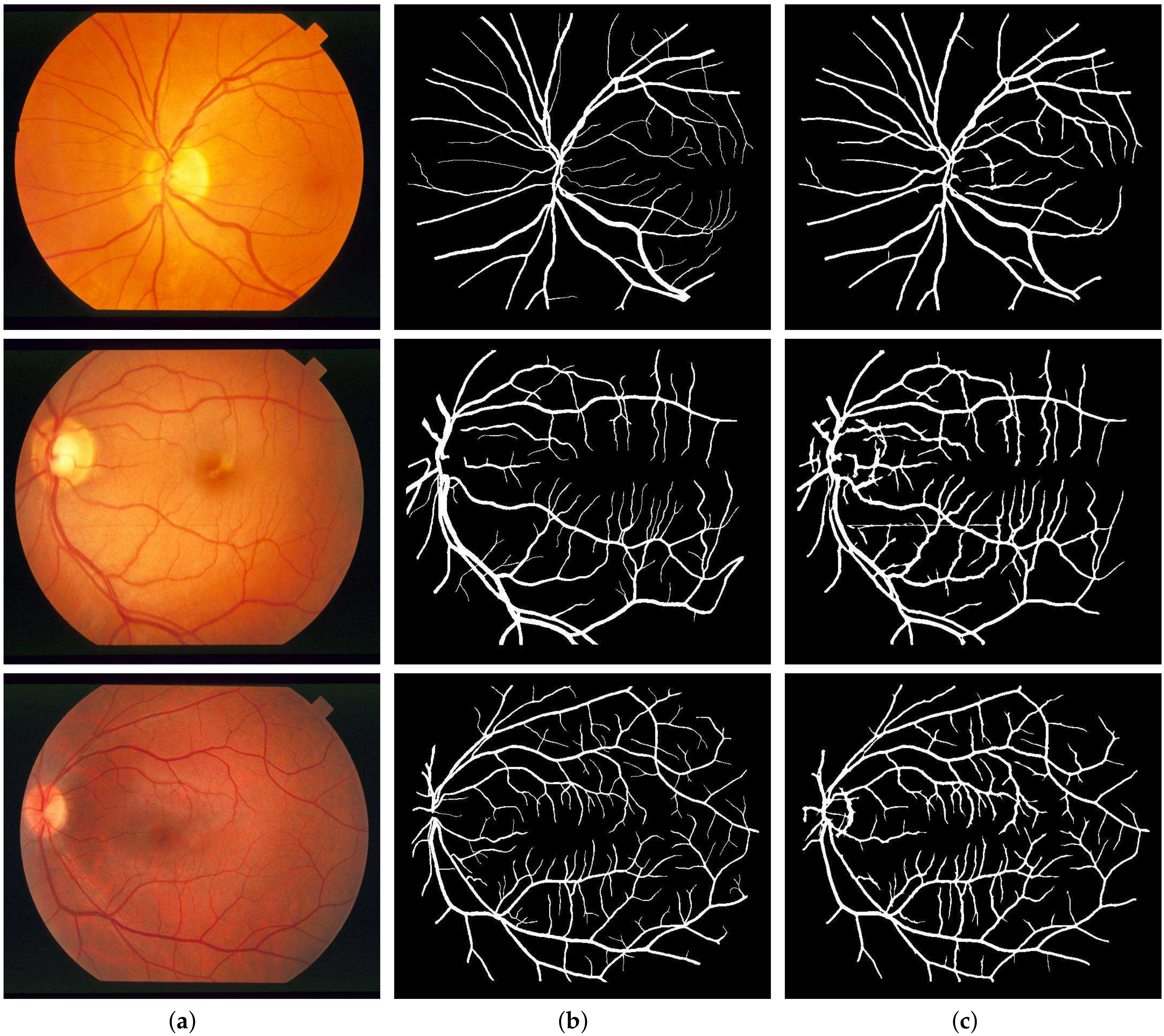 Sensors 19 04949 g010