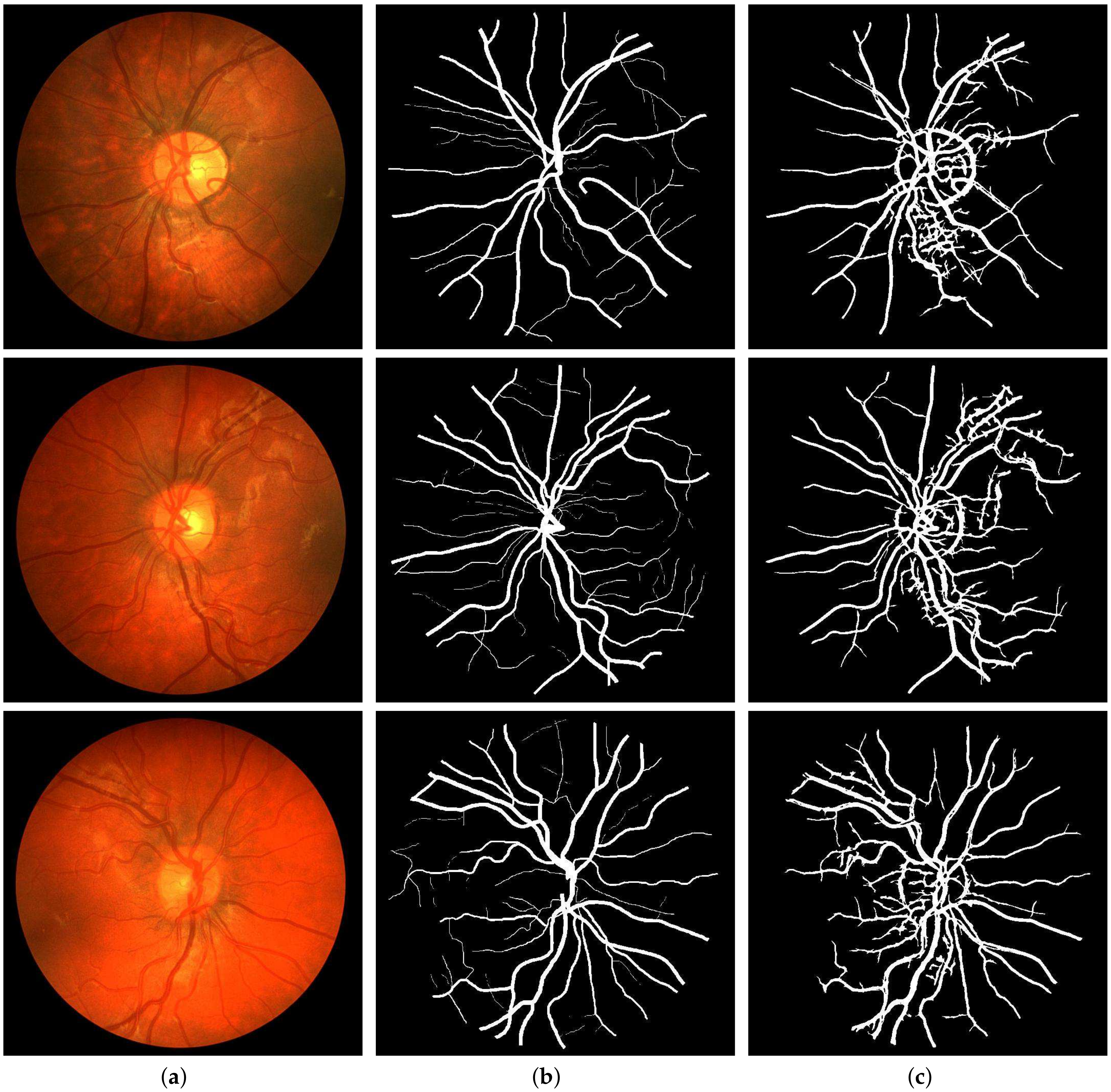Sensors 19 04949 g011