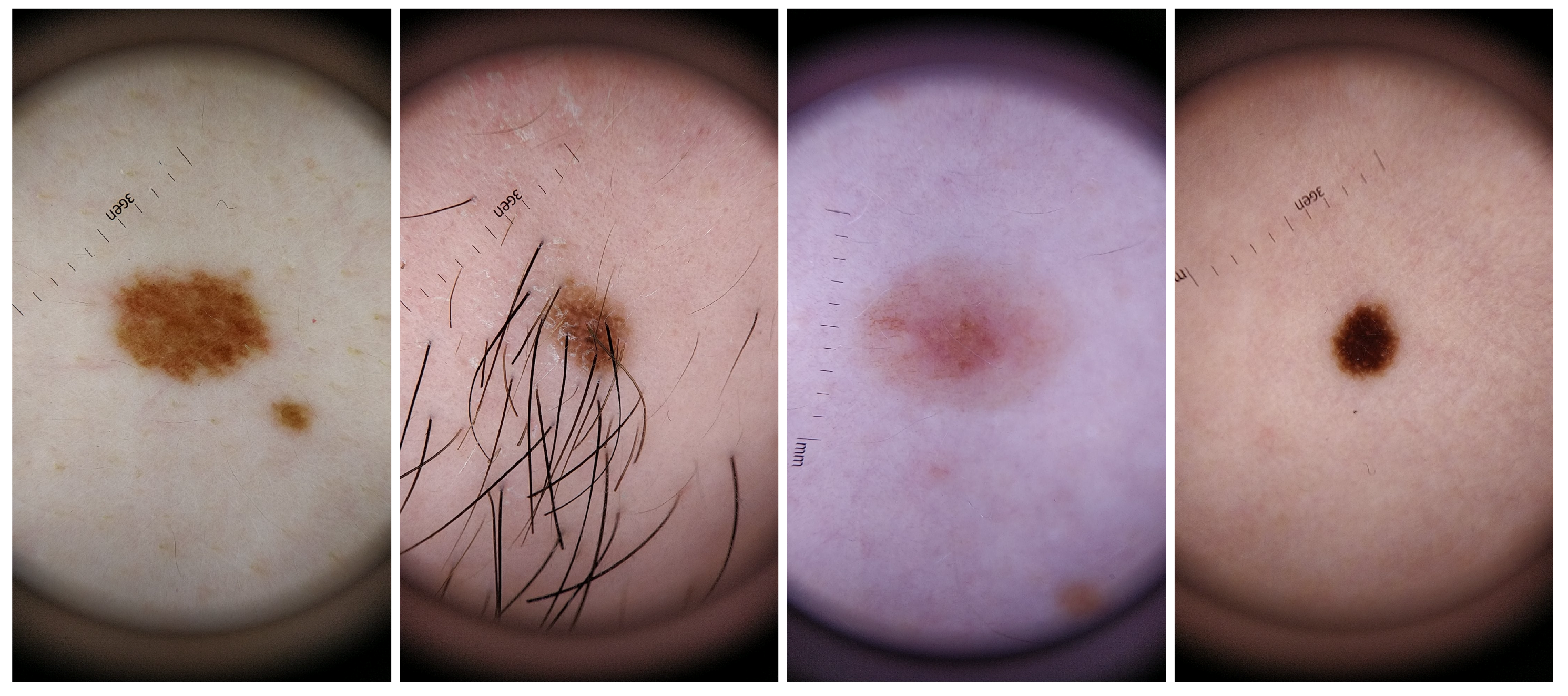 Sensors 19 04957 g002