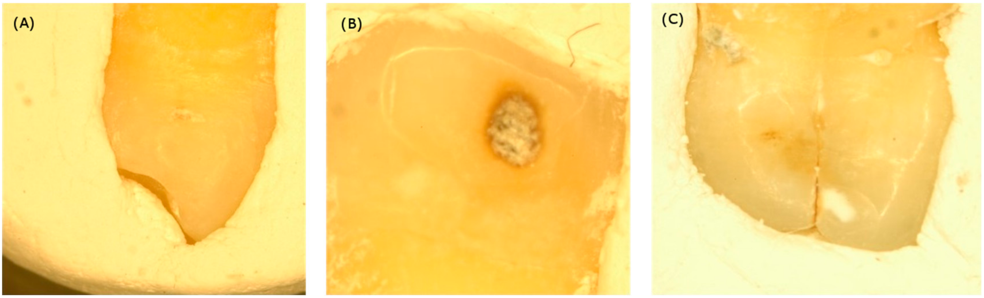 Sensors 19 04971 g002
