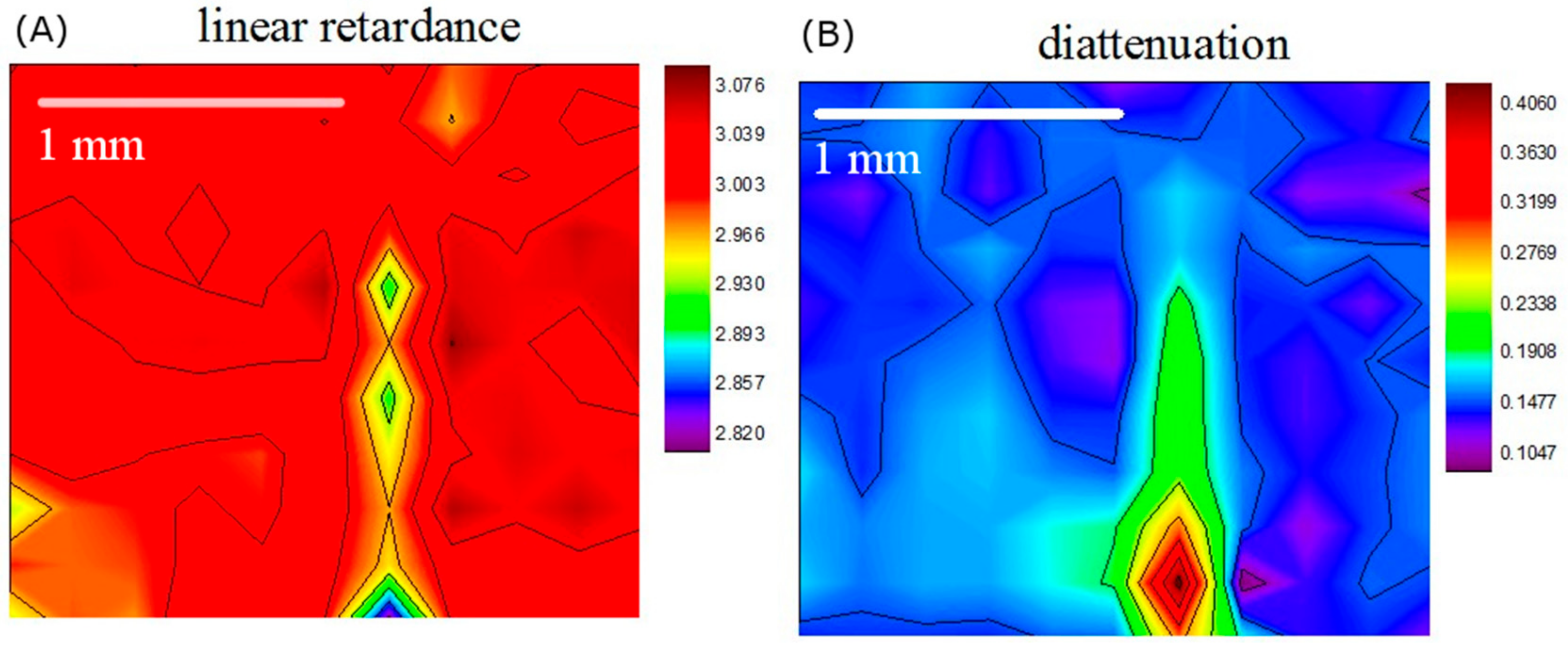 Sensors 19 04971 g009