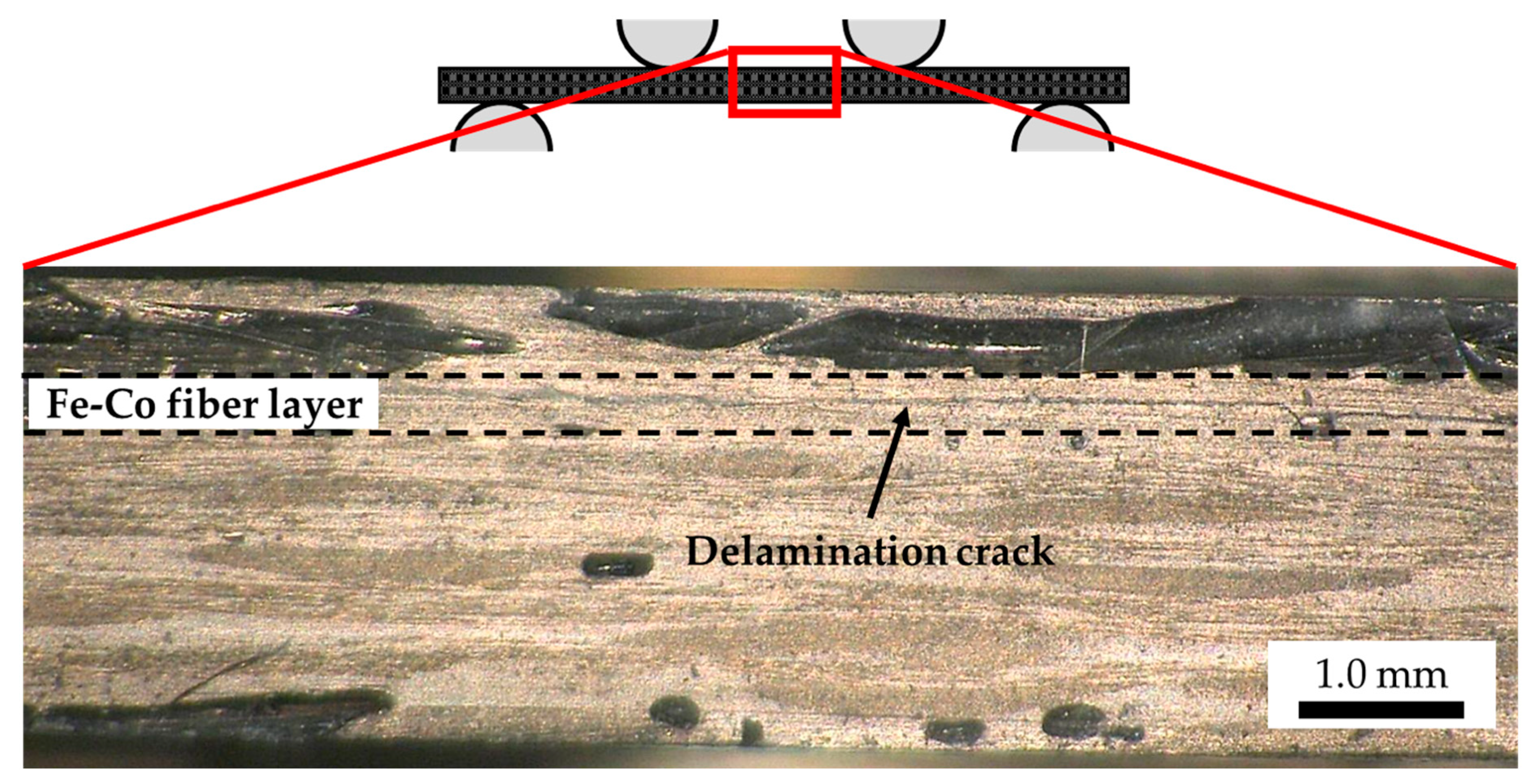 Sensors 19 04984 g006