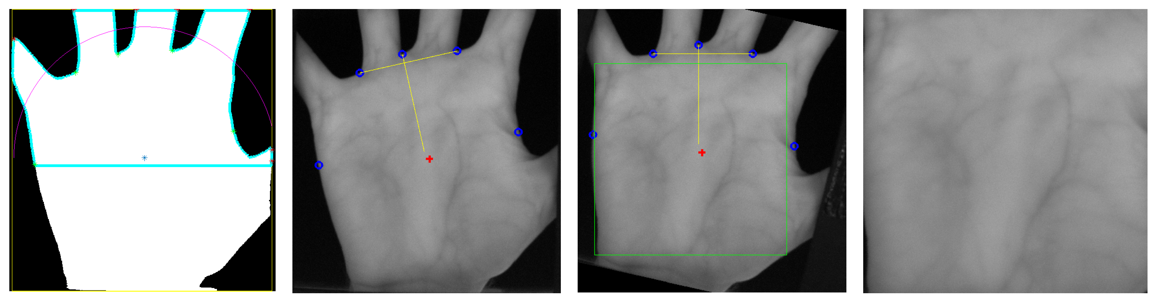 Sensors 19 05014 g009