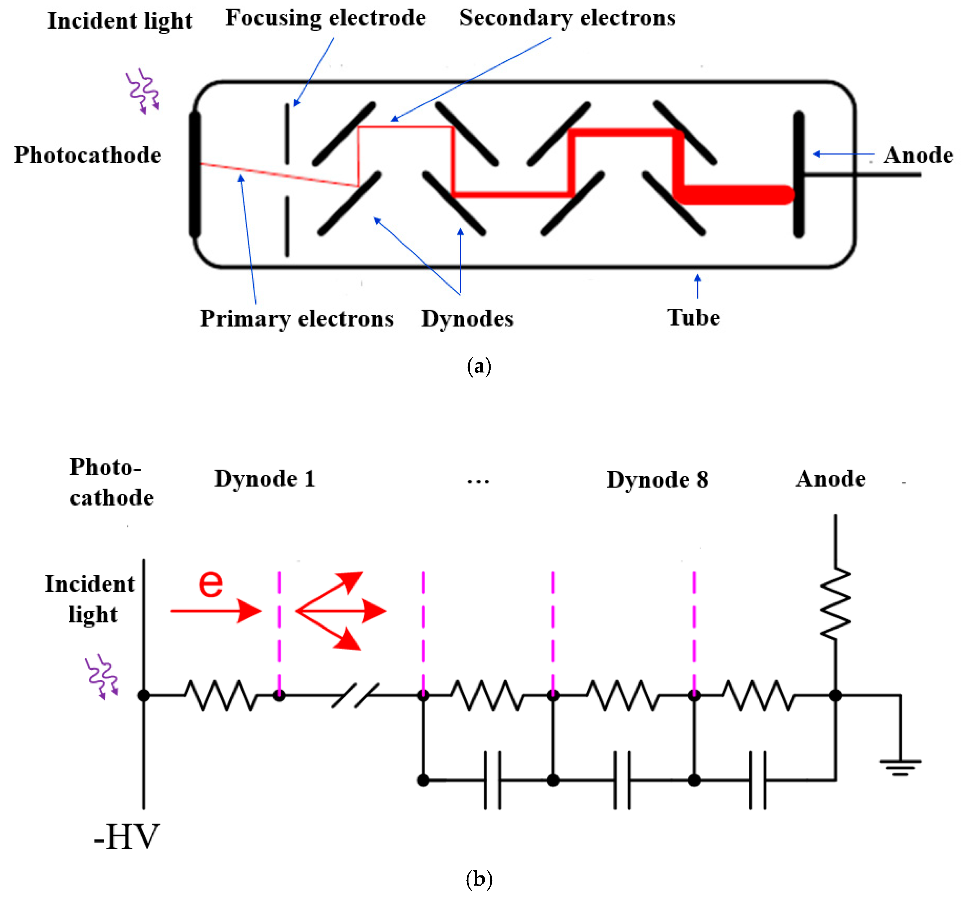 Sensors 19 05019 g005 Sensors 19 05019 g005