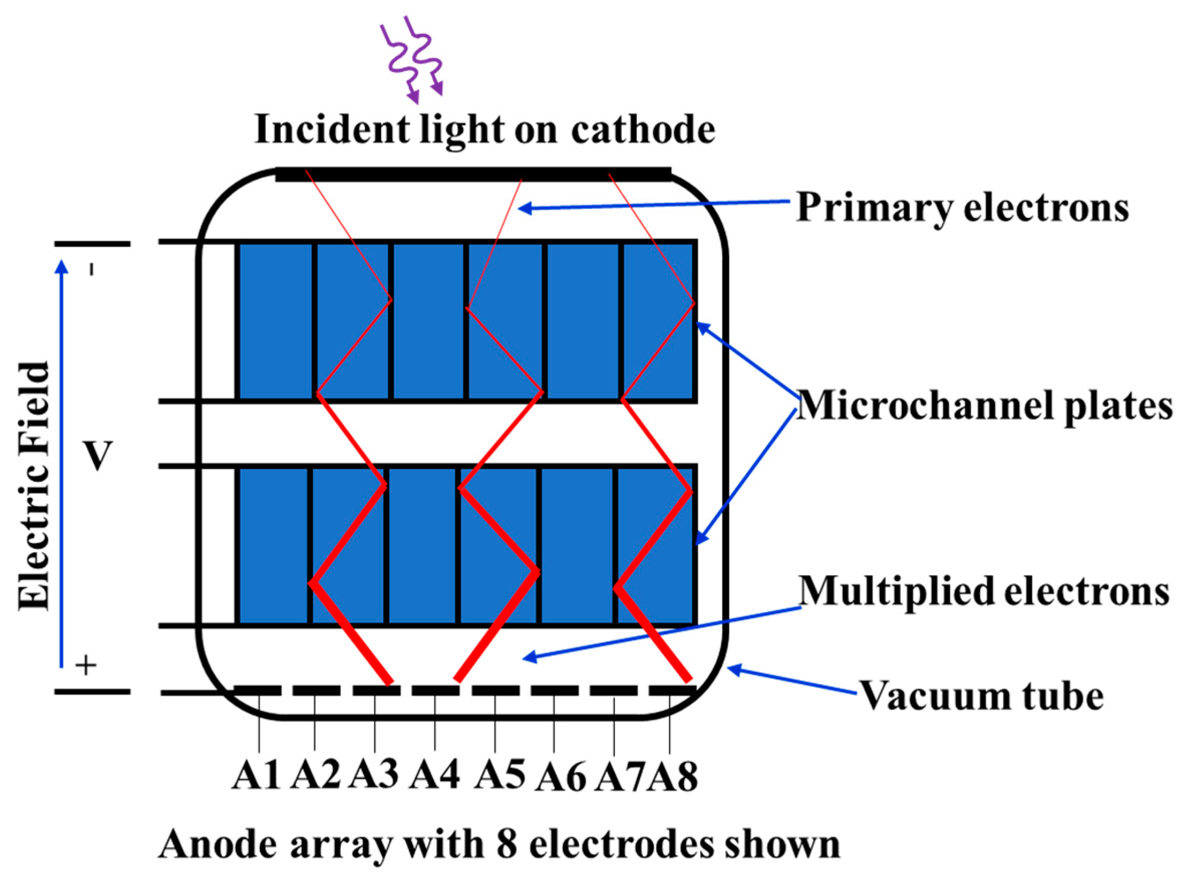 Sensors 19 05019 g007 Sensors 19 05019 g007