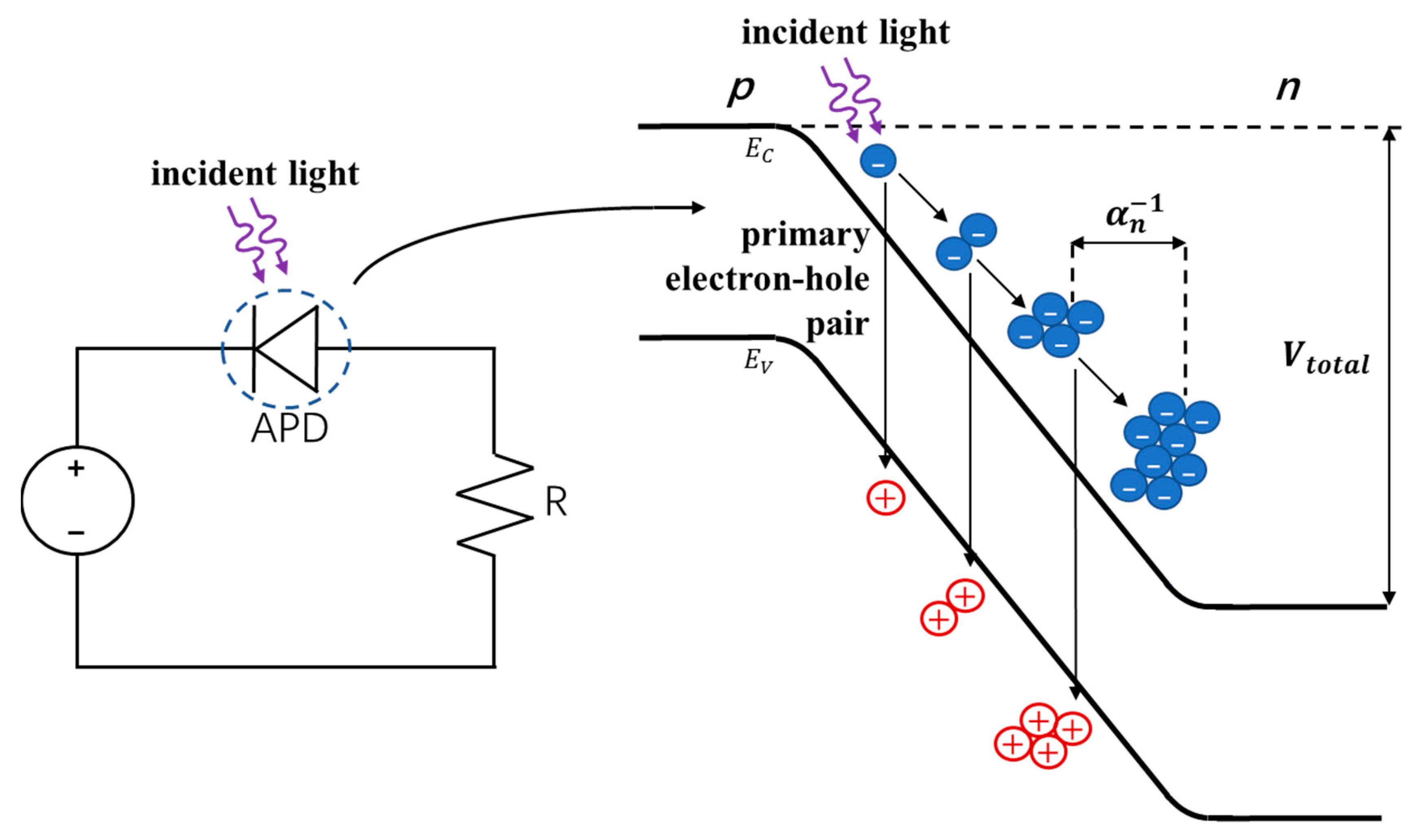 Sensors 19 05019 g009 Sensors 19 05019 g009